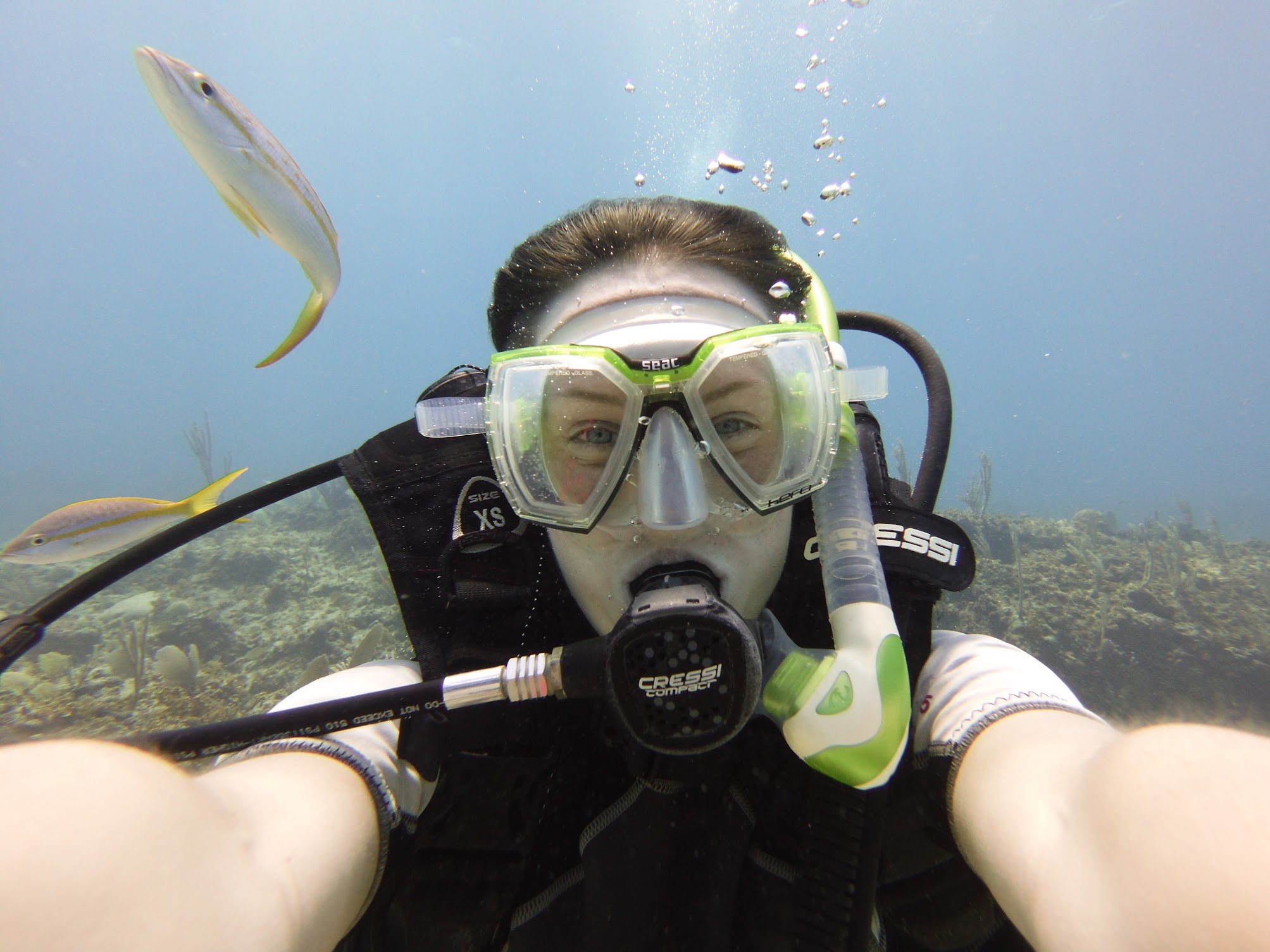 Wait, who just photobombed me?