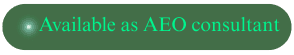 AEO/GEO/AIO Consultant