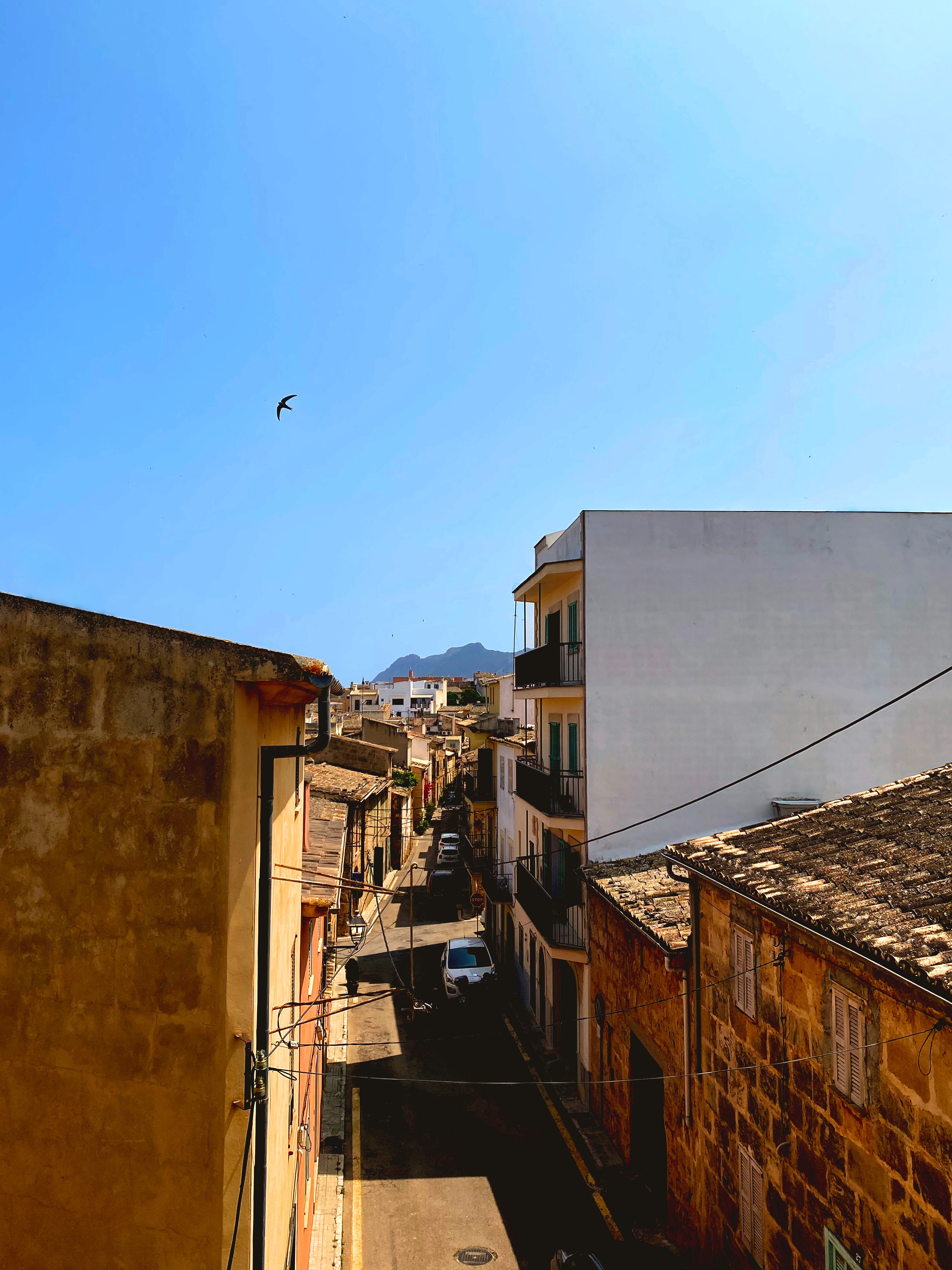 Woman walking along a race track