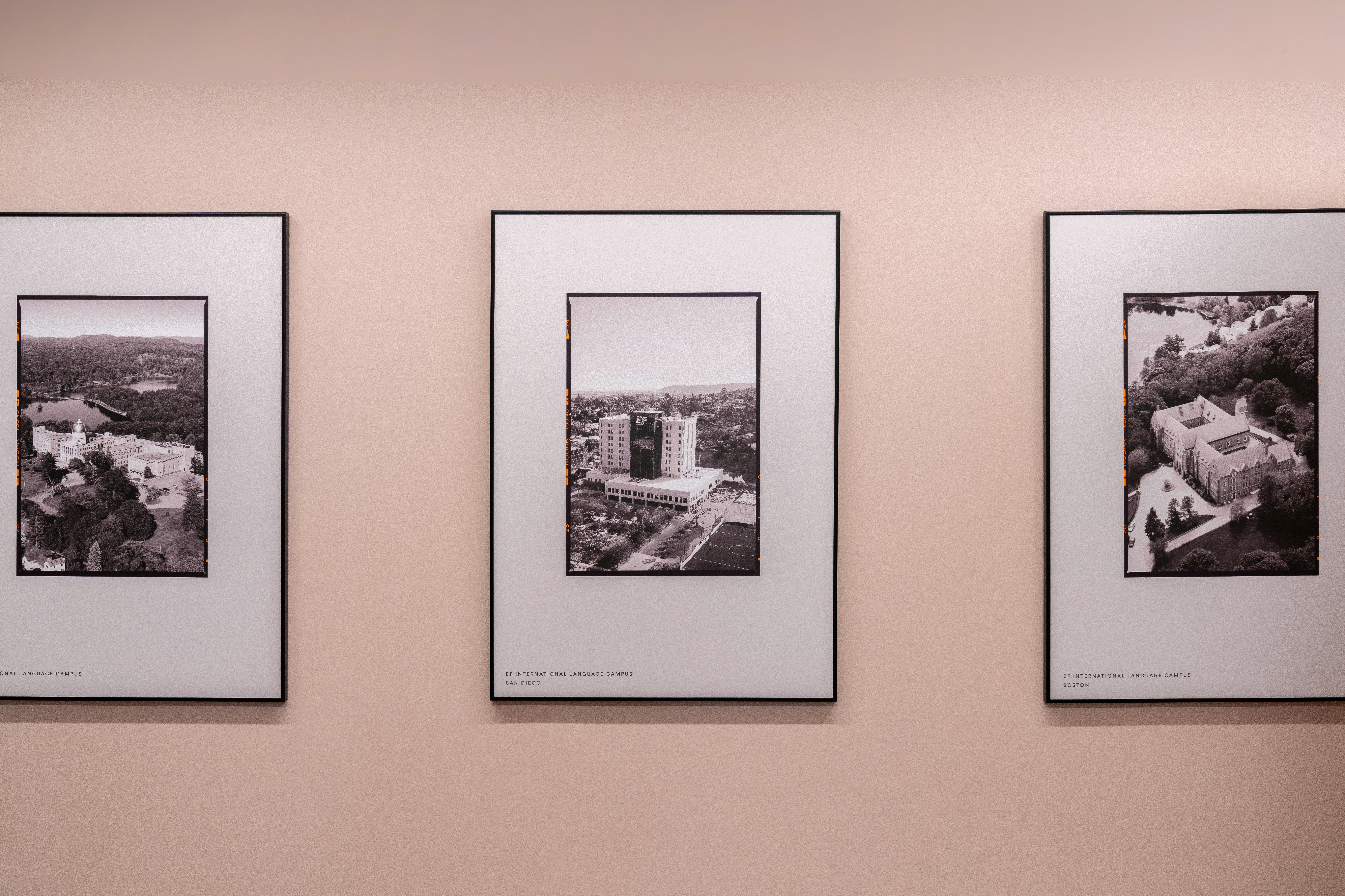 Gallery image 7
