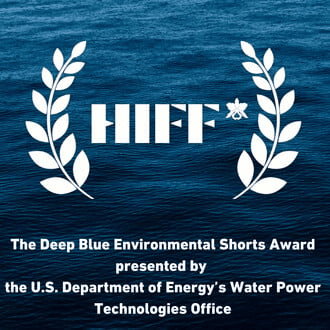 HIFF Deep Blue Shorts Competition