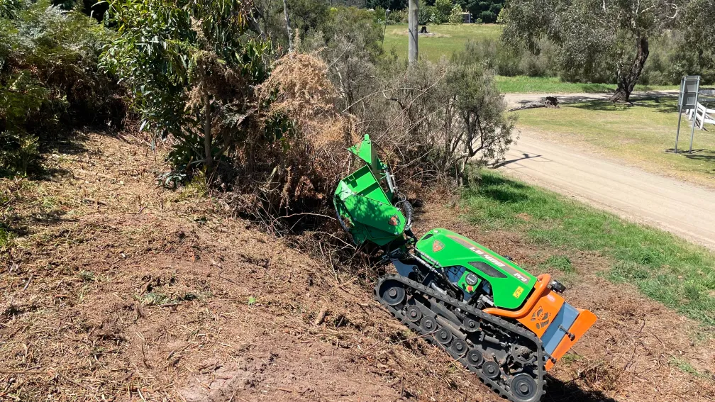 Making steep terrain accessible by clearing dangerous deadwood