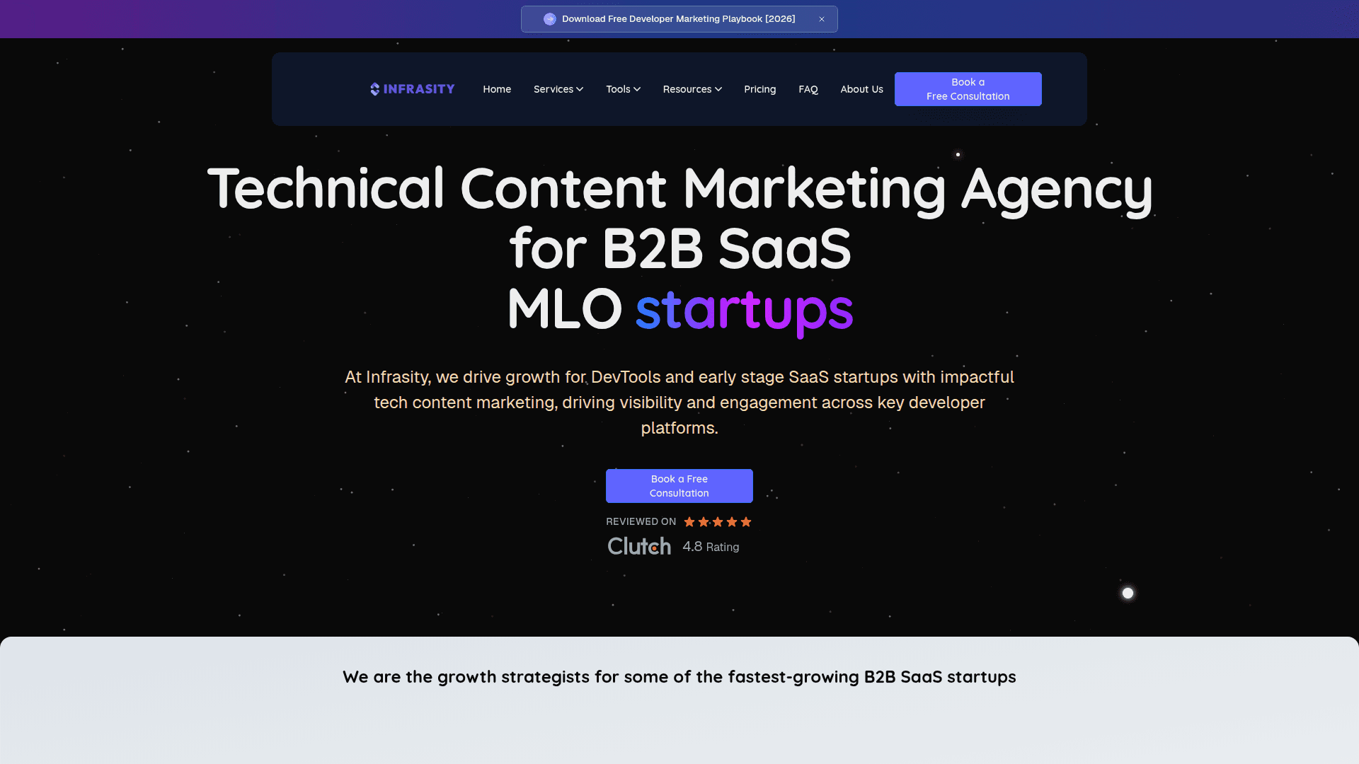 Screenshot of https://infrasity.com/