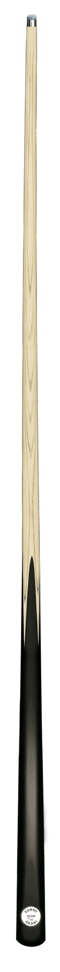 snooker cue by sunny akani