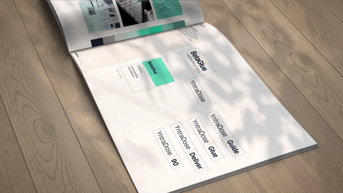 brand booklet open showing assets eg business cards