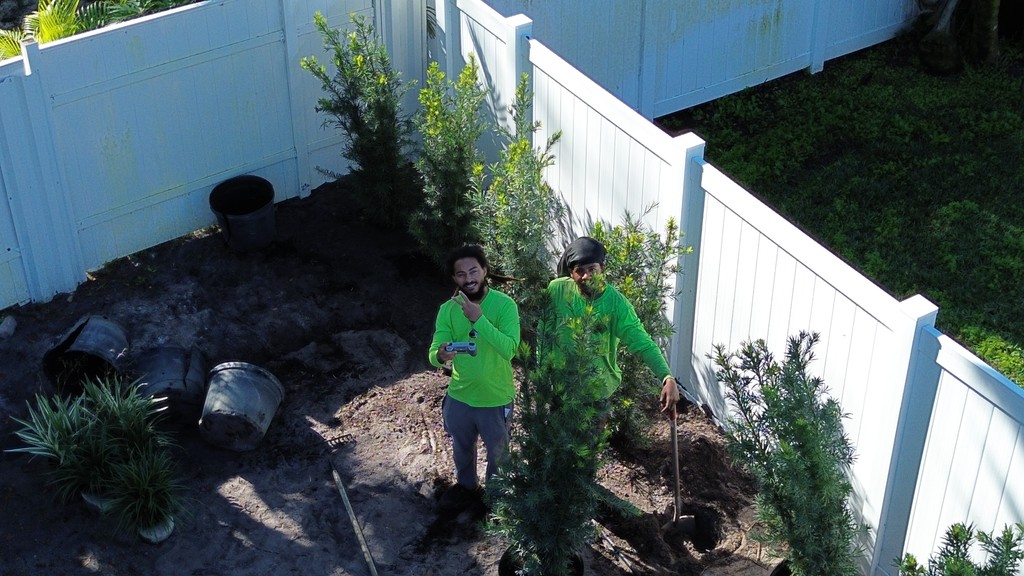 Odom's crew planting along a fence