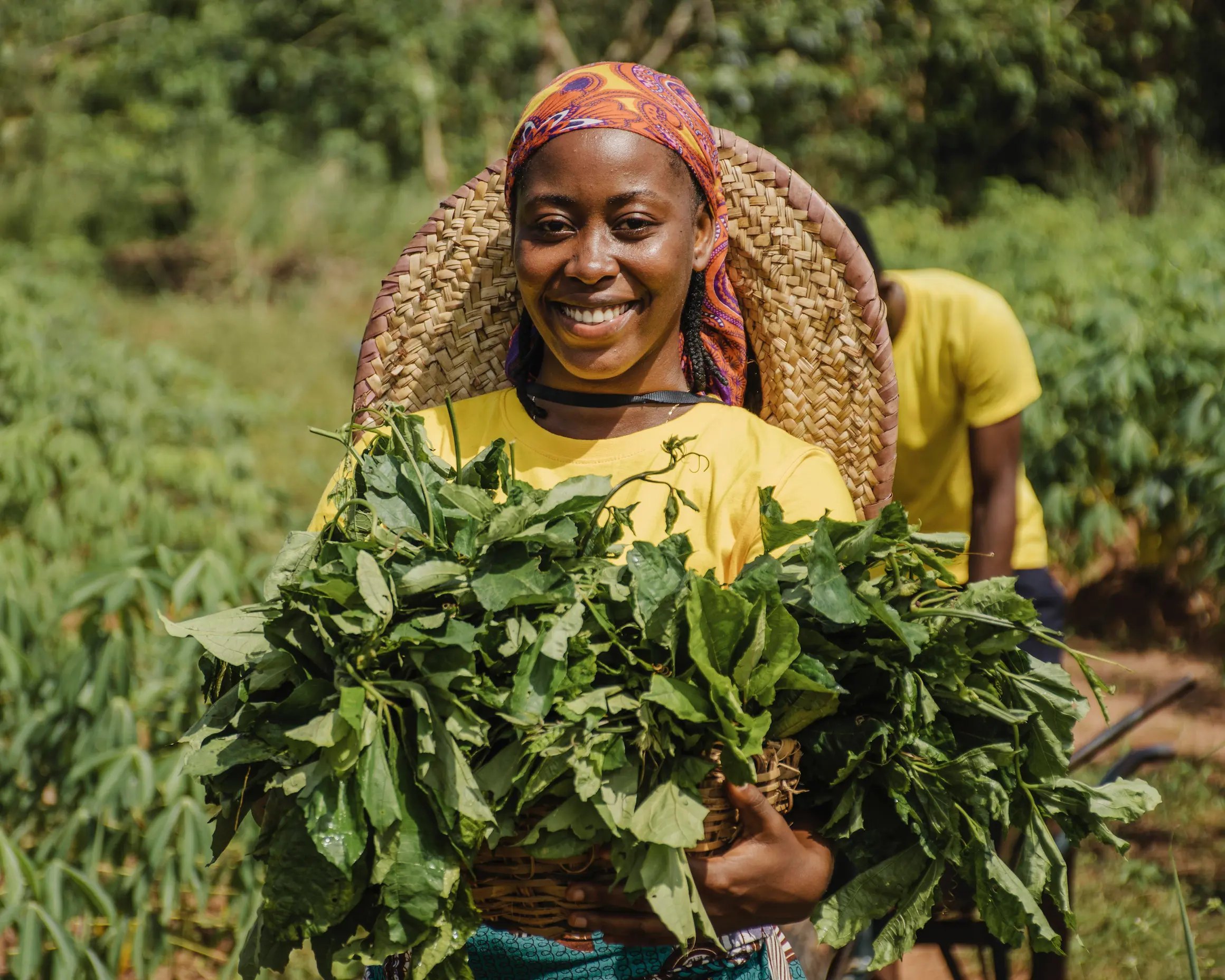 Femme souriante portant un foulard coloré et un panier rempli de feuilles vertes fraîches, debout dans un champ agricole verdoyant. - Women in Afrofood