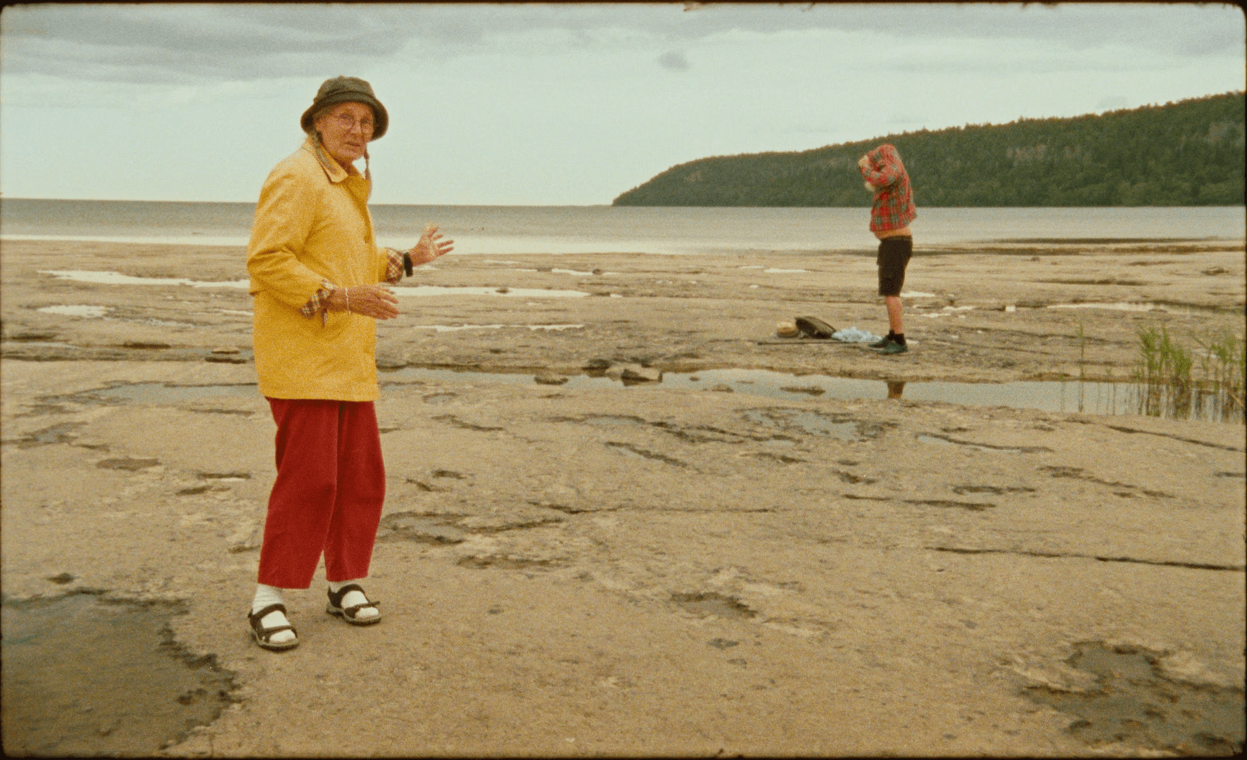 Magnetic repel image