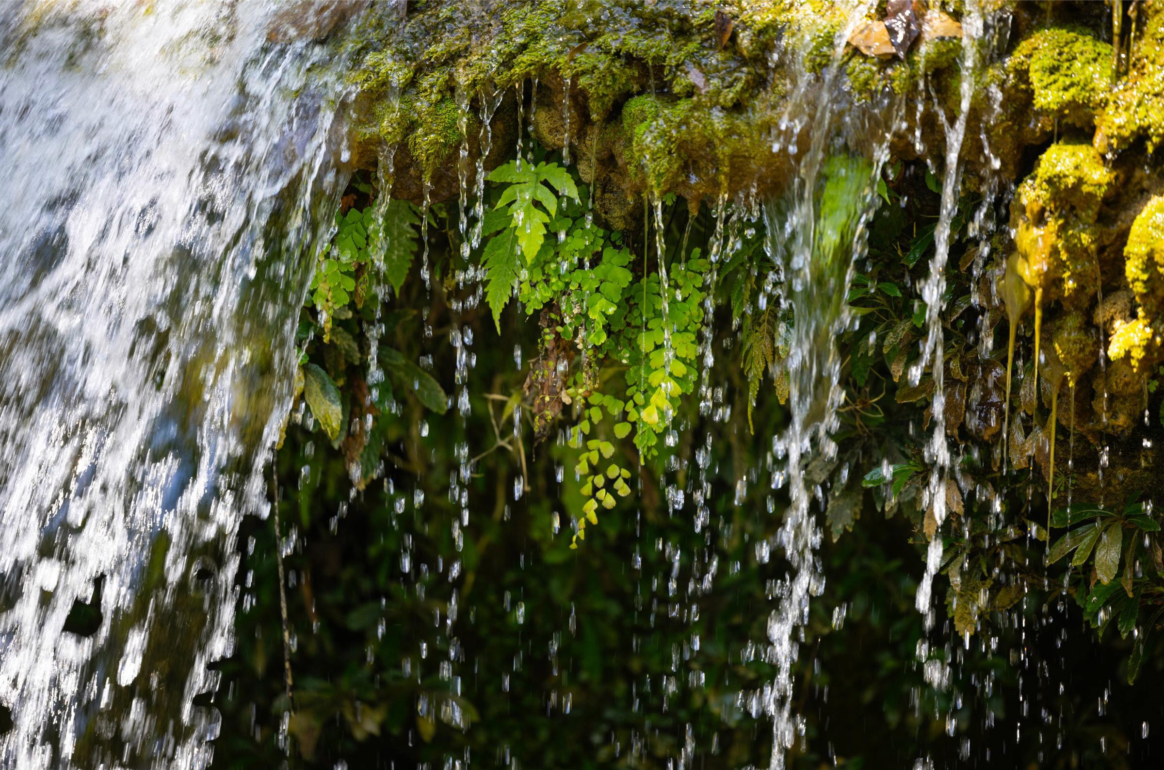 Waterfall detail - Soroa, Artemisa, Cuba.