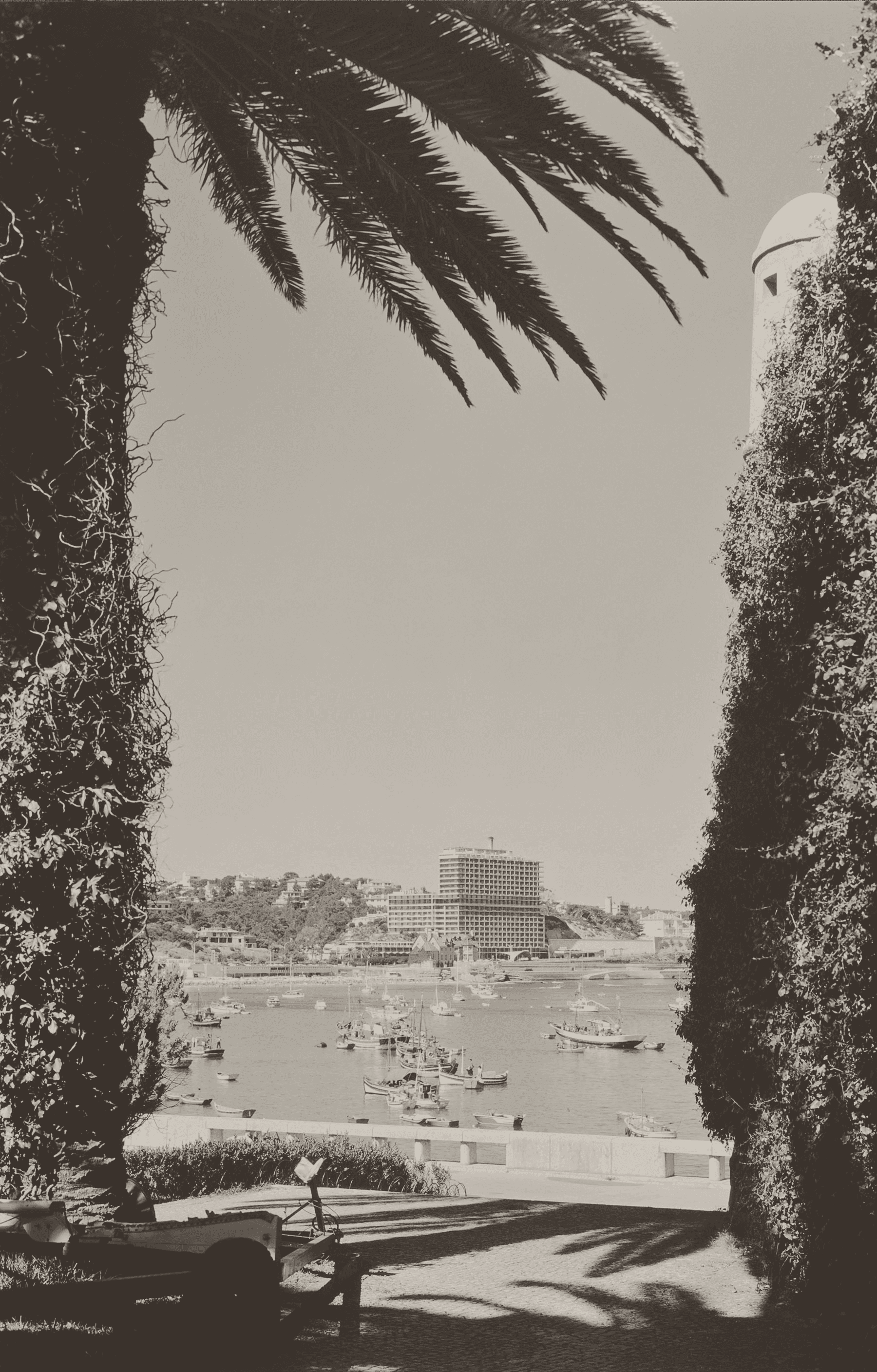 Patheo da Litographia