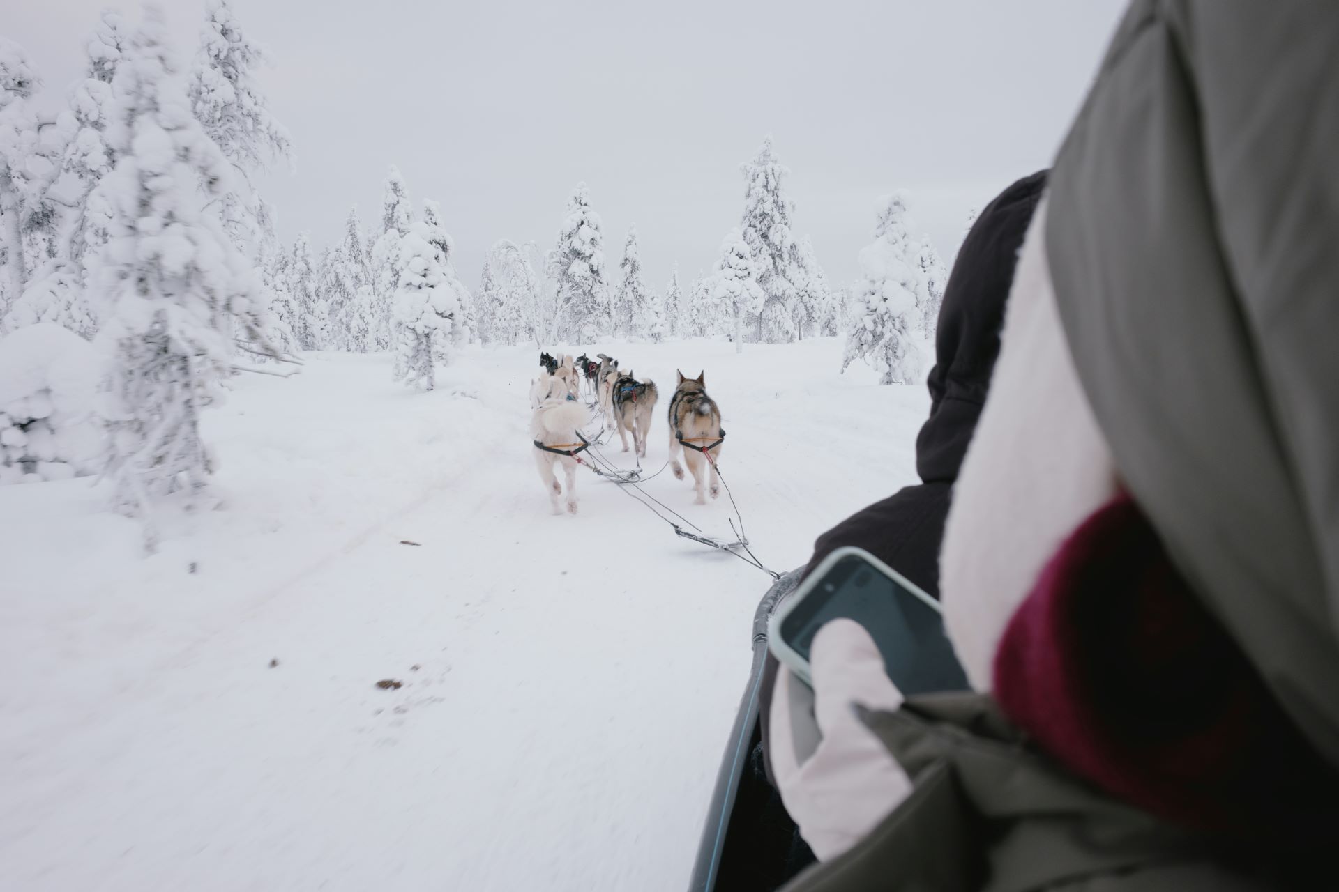 How to Get Around Finland in the Snow