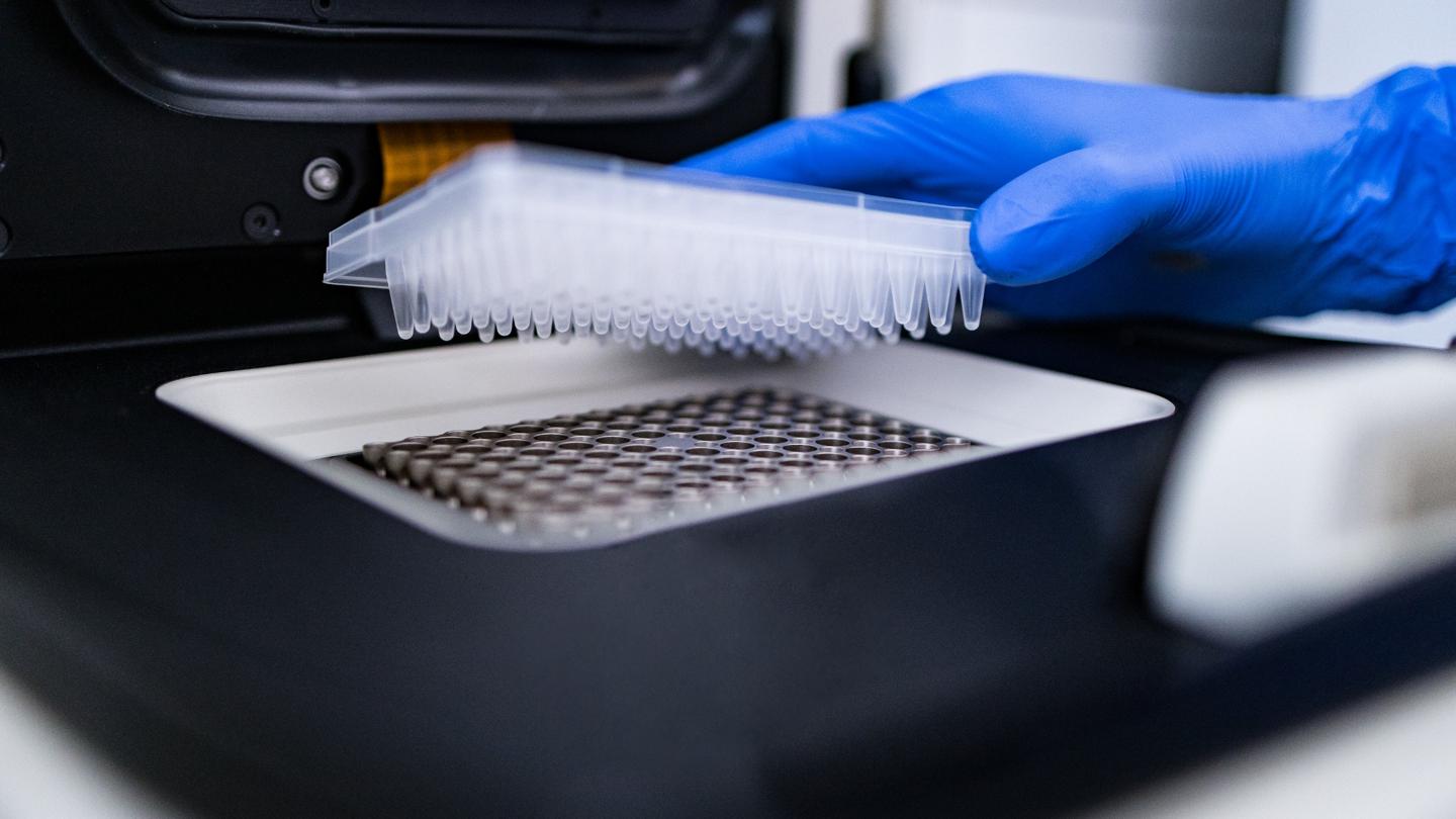 A blue-gloved hand using laboratory equipment