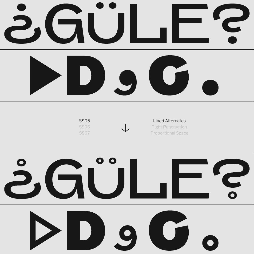 a horizontally split specimen layout showing the lined alternates of Swono on some sample characters