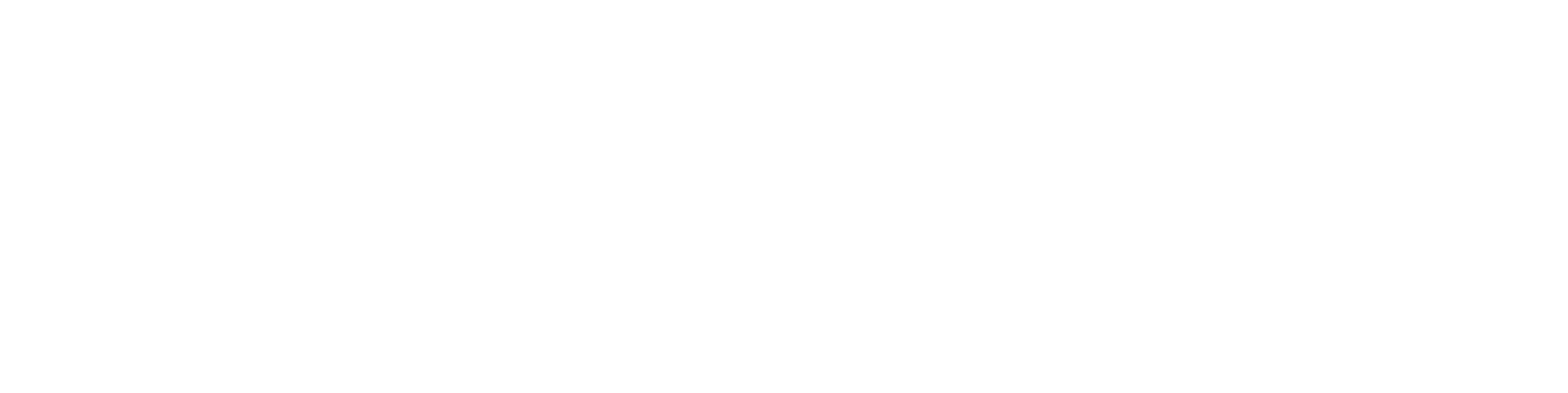 Logo Design Project for a Client