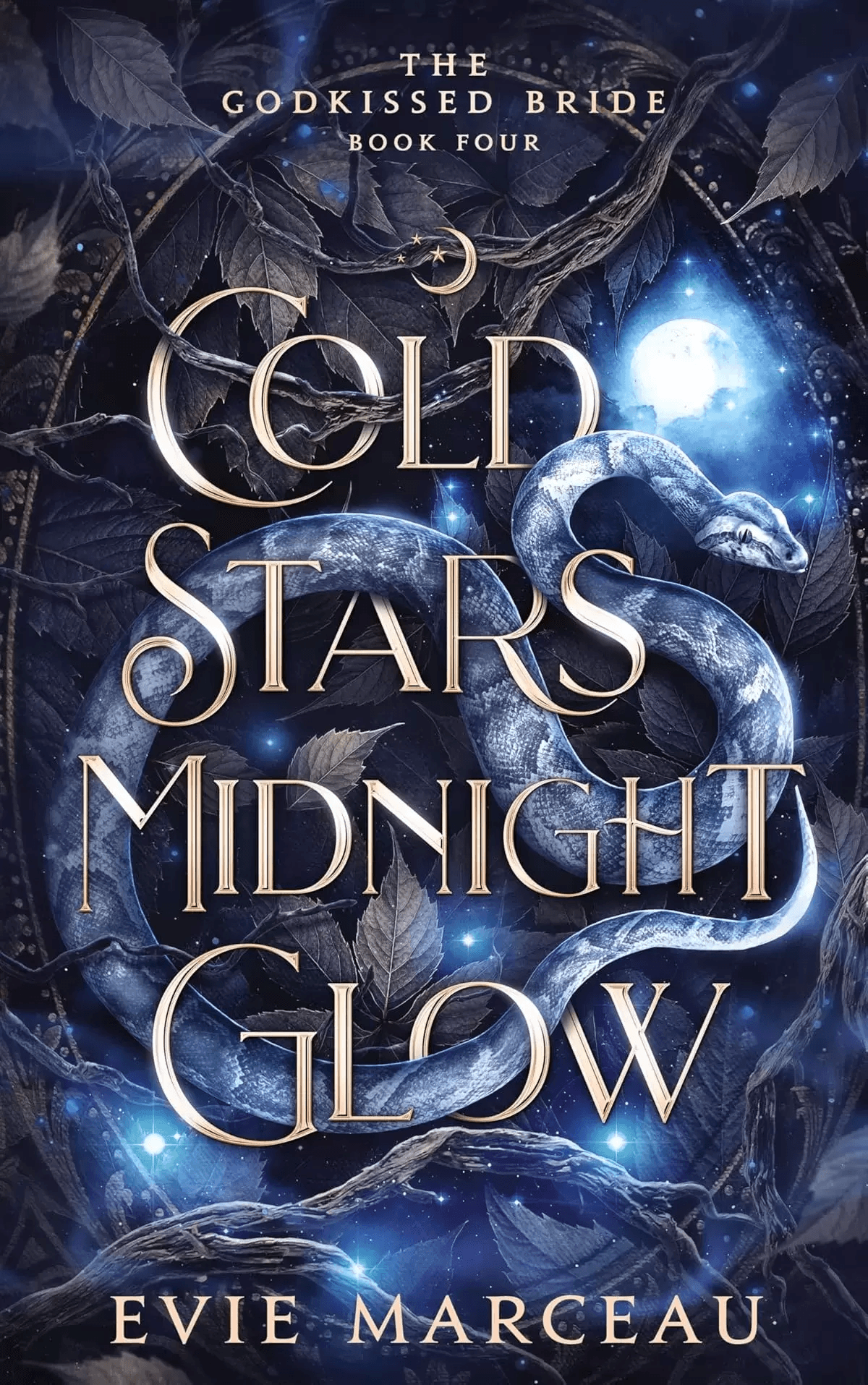 Cold Stars Midnight Glow