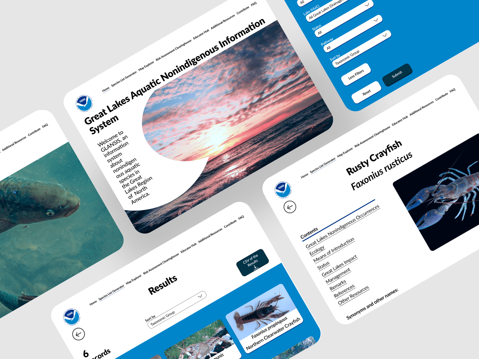 A mockup of several desktop screens from the NOAA Redesign