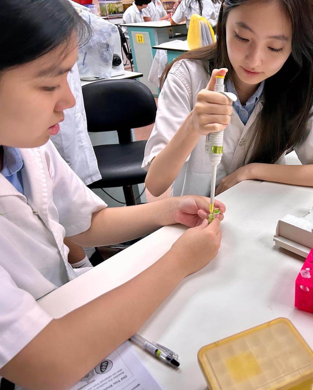 North London Collegiate School Singapore Students Science Class | CSI Education and Academic Coaching