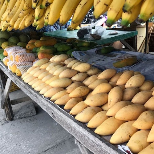 Each season features different fruits available at the market.