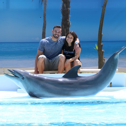 Zoomarine 罗马：预订入口及海豚体验票（Pomezia）