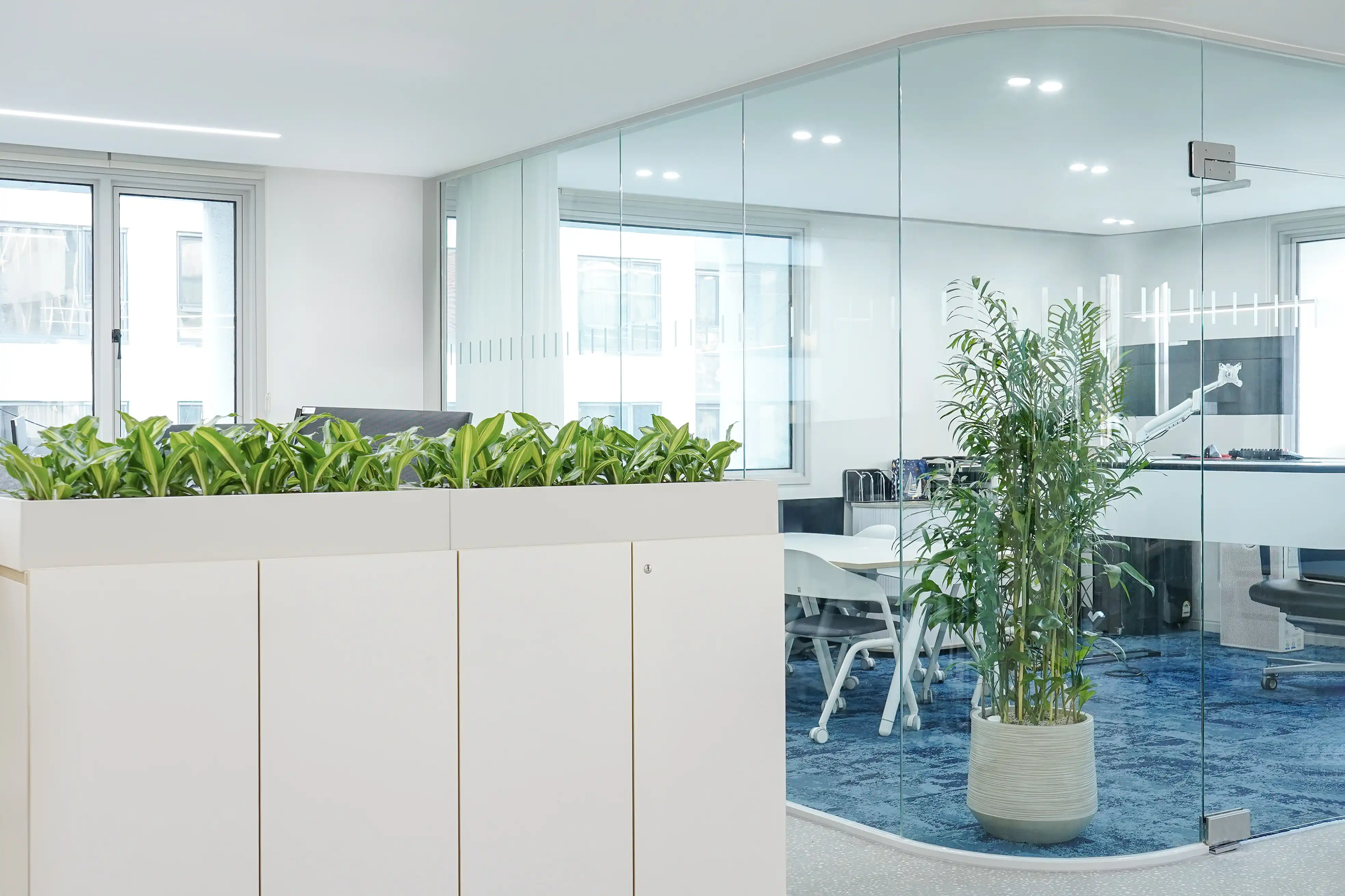 에코피플의 디자인화분과 캐비닛정원이 사무실인테리어와 조화를 이룬다