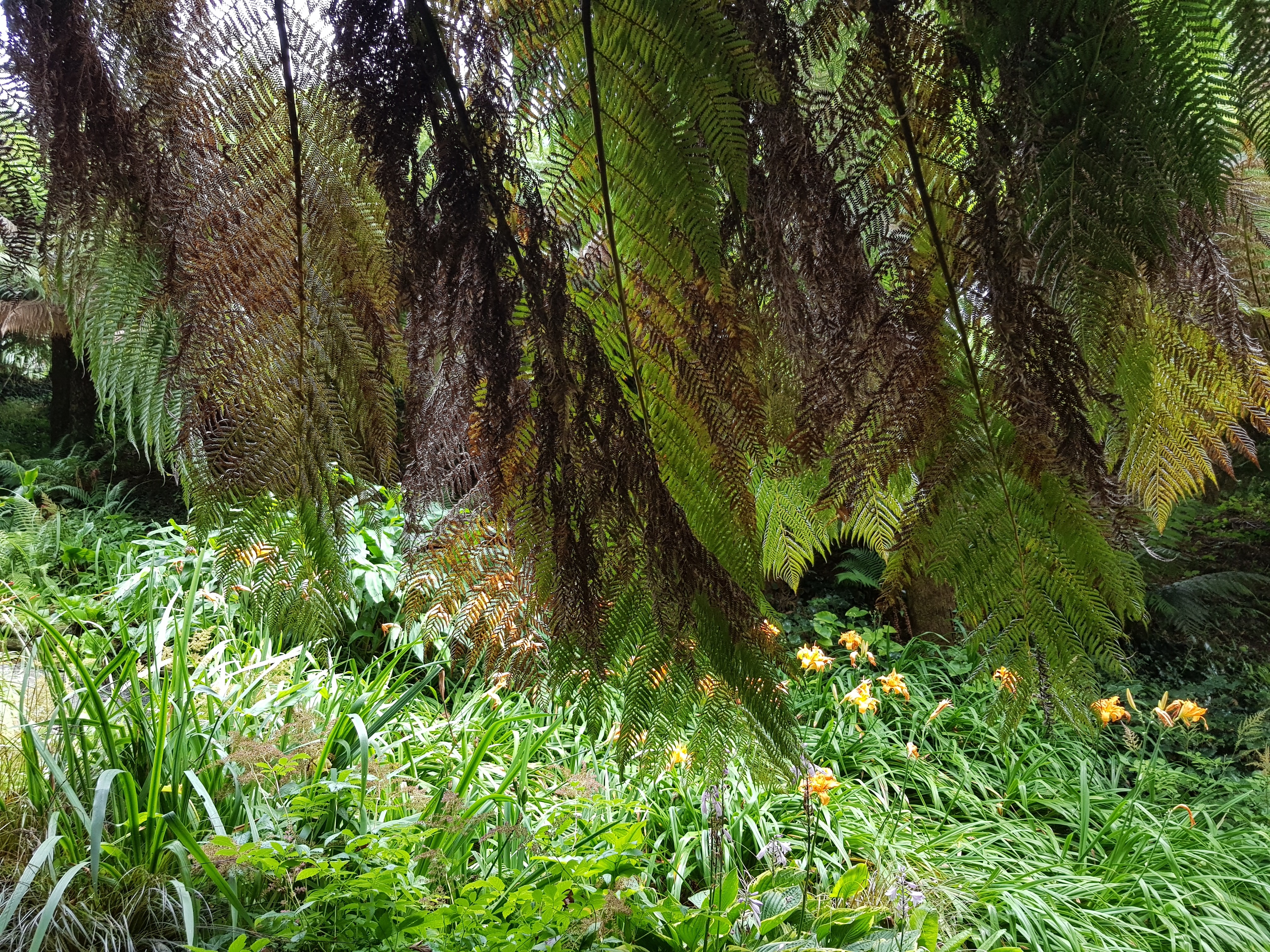 blue sky and white clouds over the sea