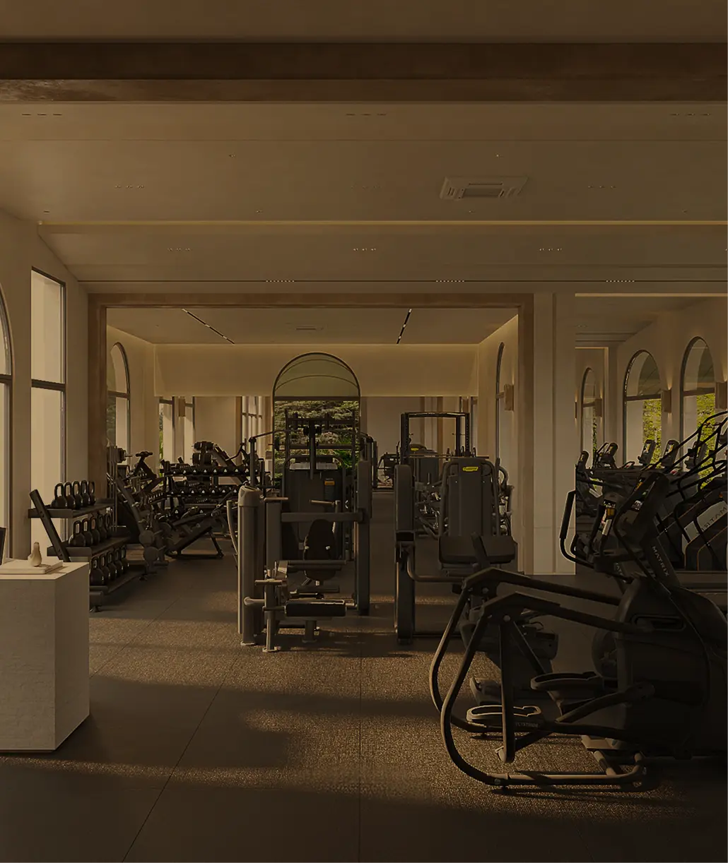 A luxurious gym interior with modern fitness equipment, bathed in warm natural light, reflecting a premium fitness and wellness atmosphere.
