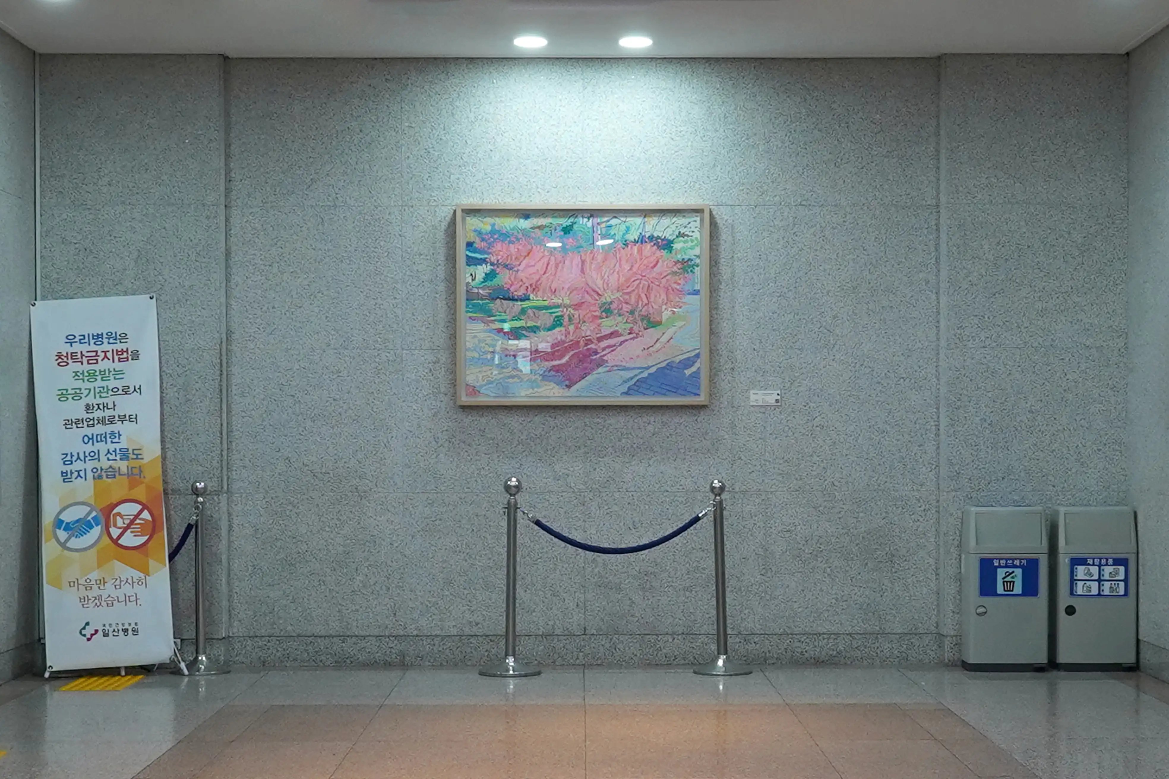 플랜테리어 설치되기 전의 대학병원 공간