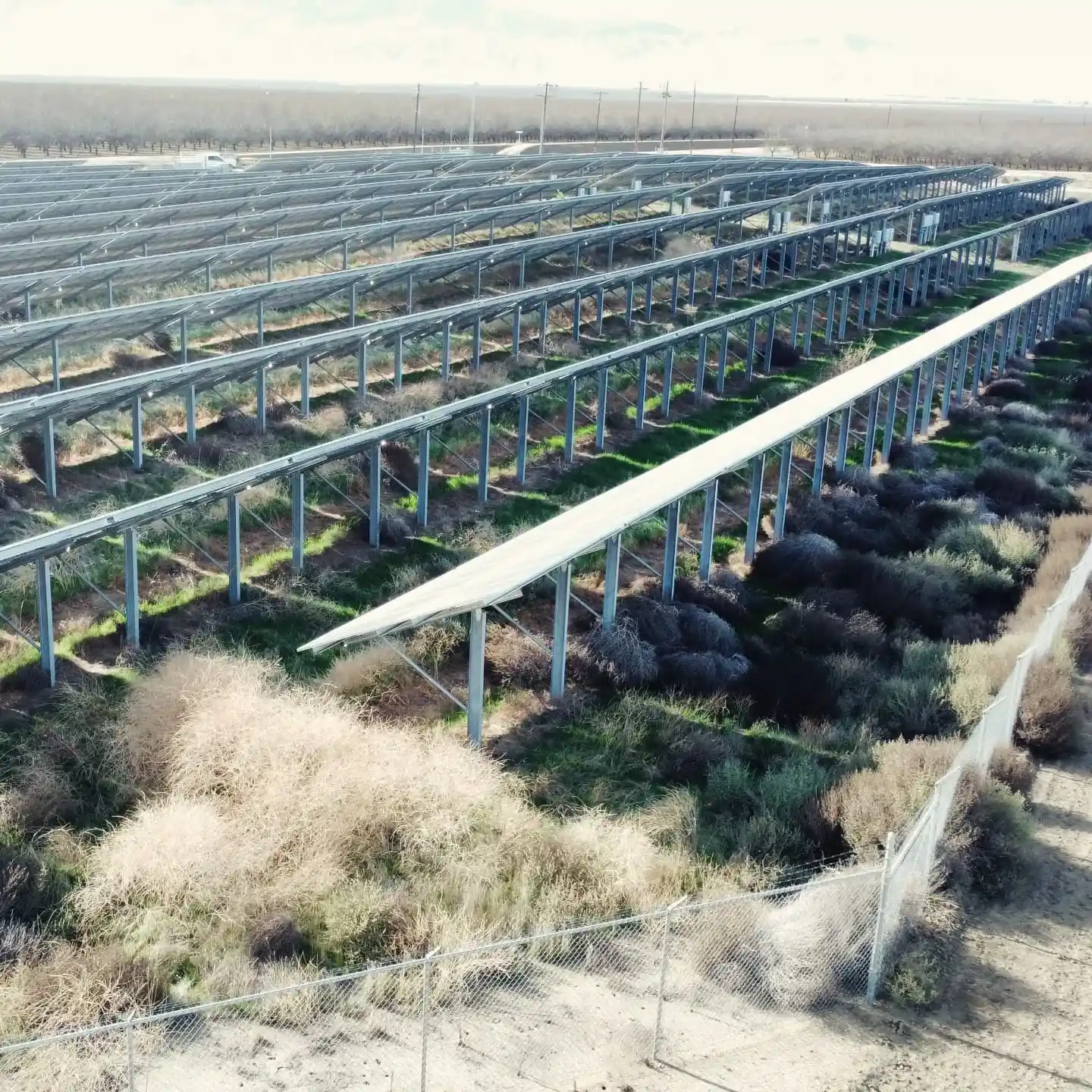 Ground-mount solar racking with weeds and dry brush between rows | Premier Solar Service, serving Central Valley, CA
