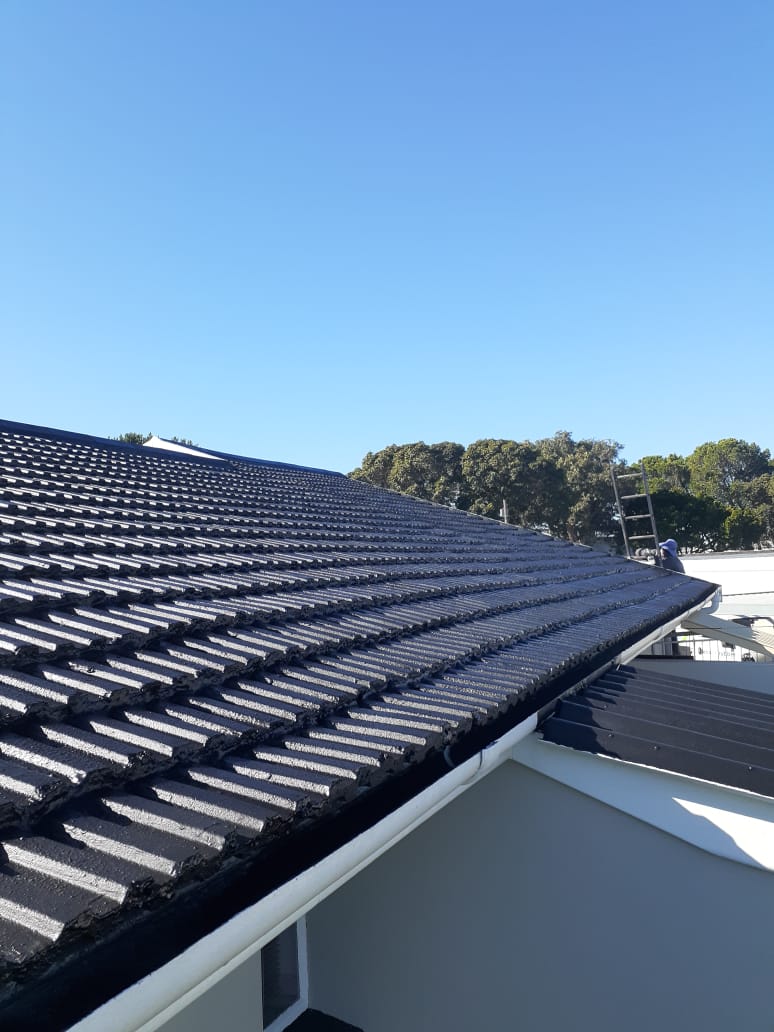 Residential roof coated with Eco Rubber