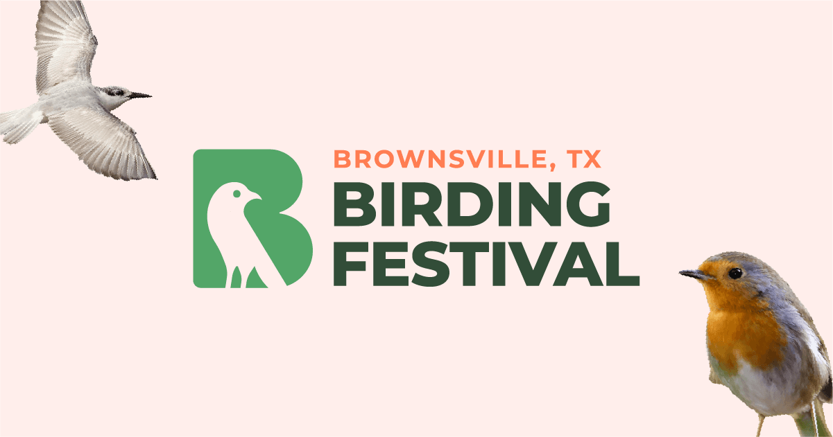 Brownsville Birding Festival