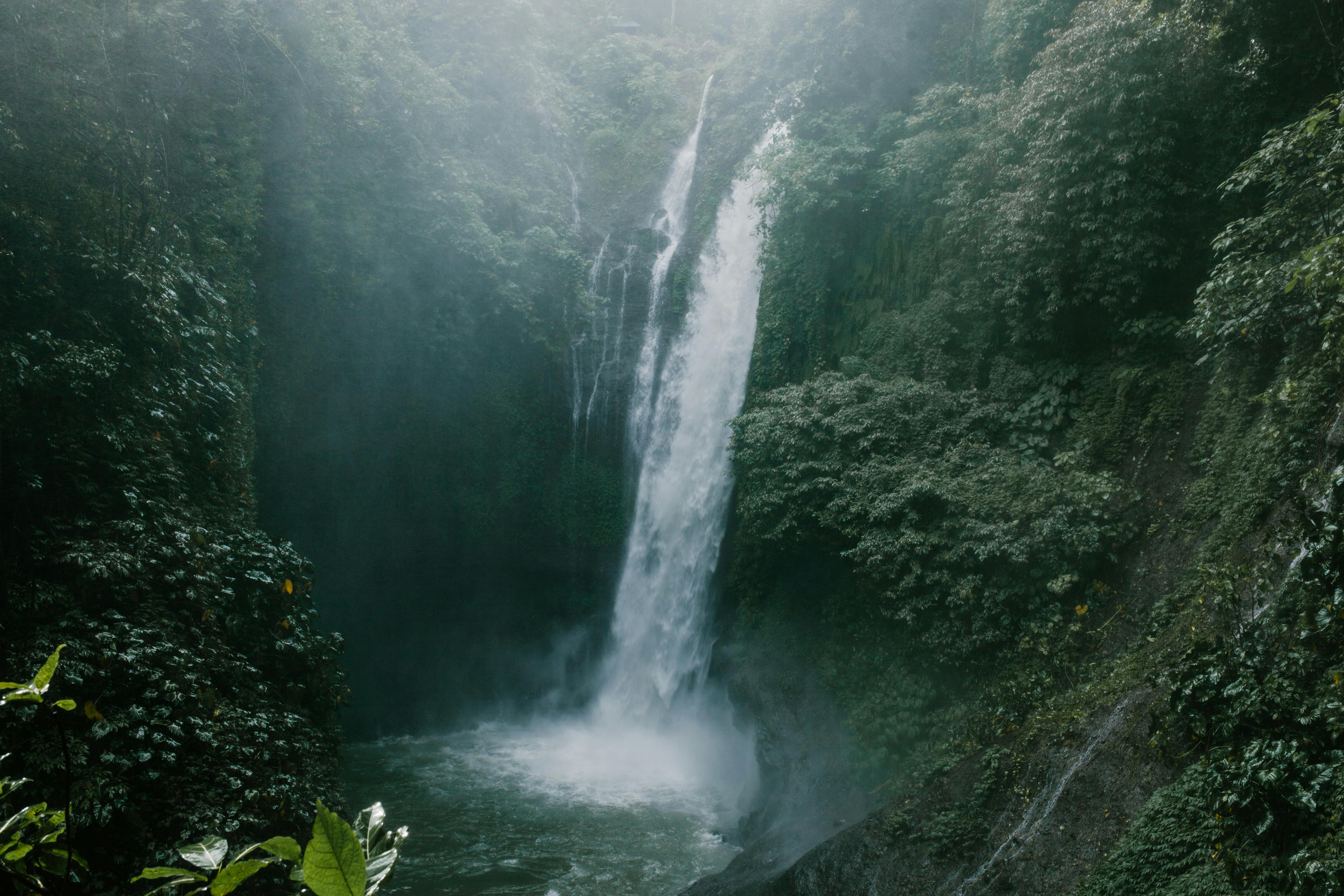 Green nature with waterfall