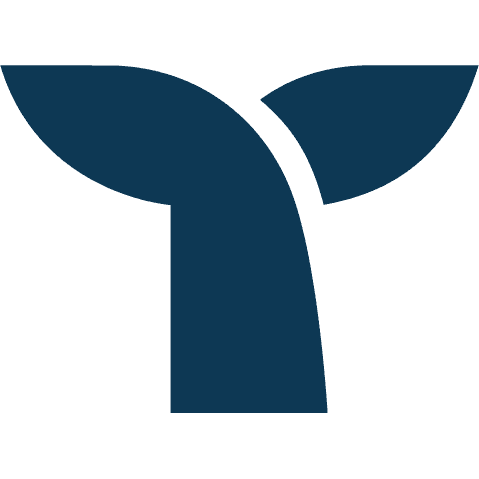 Webflow Logo
