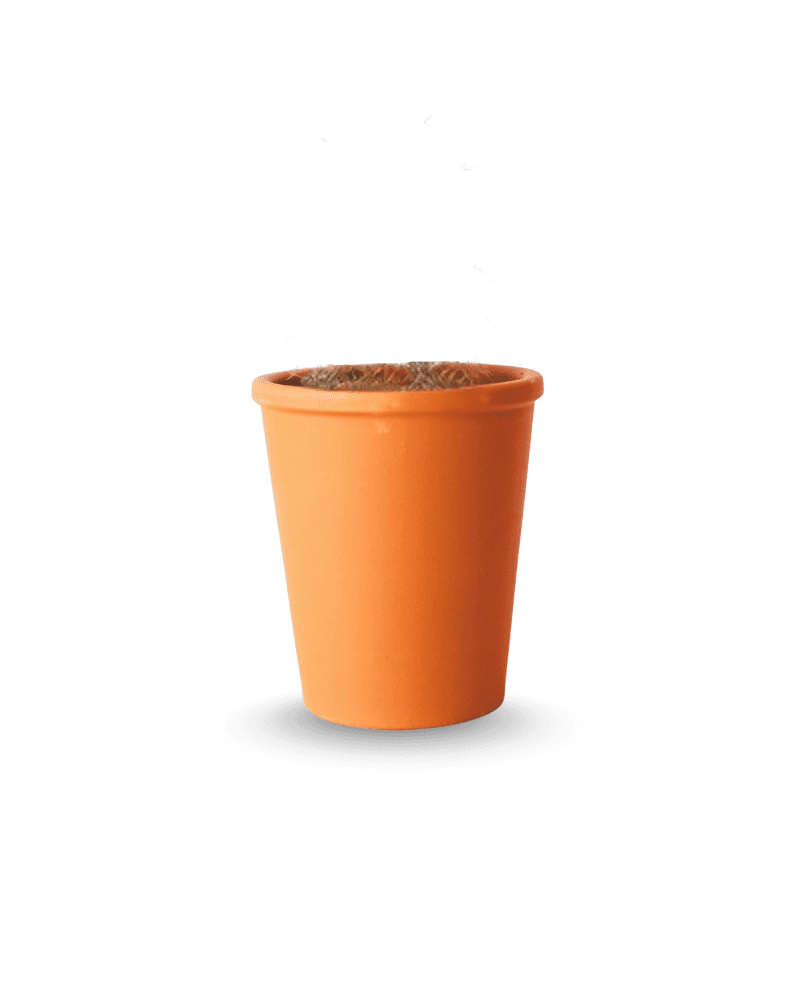 Orange Small Plastic Pot