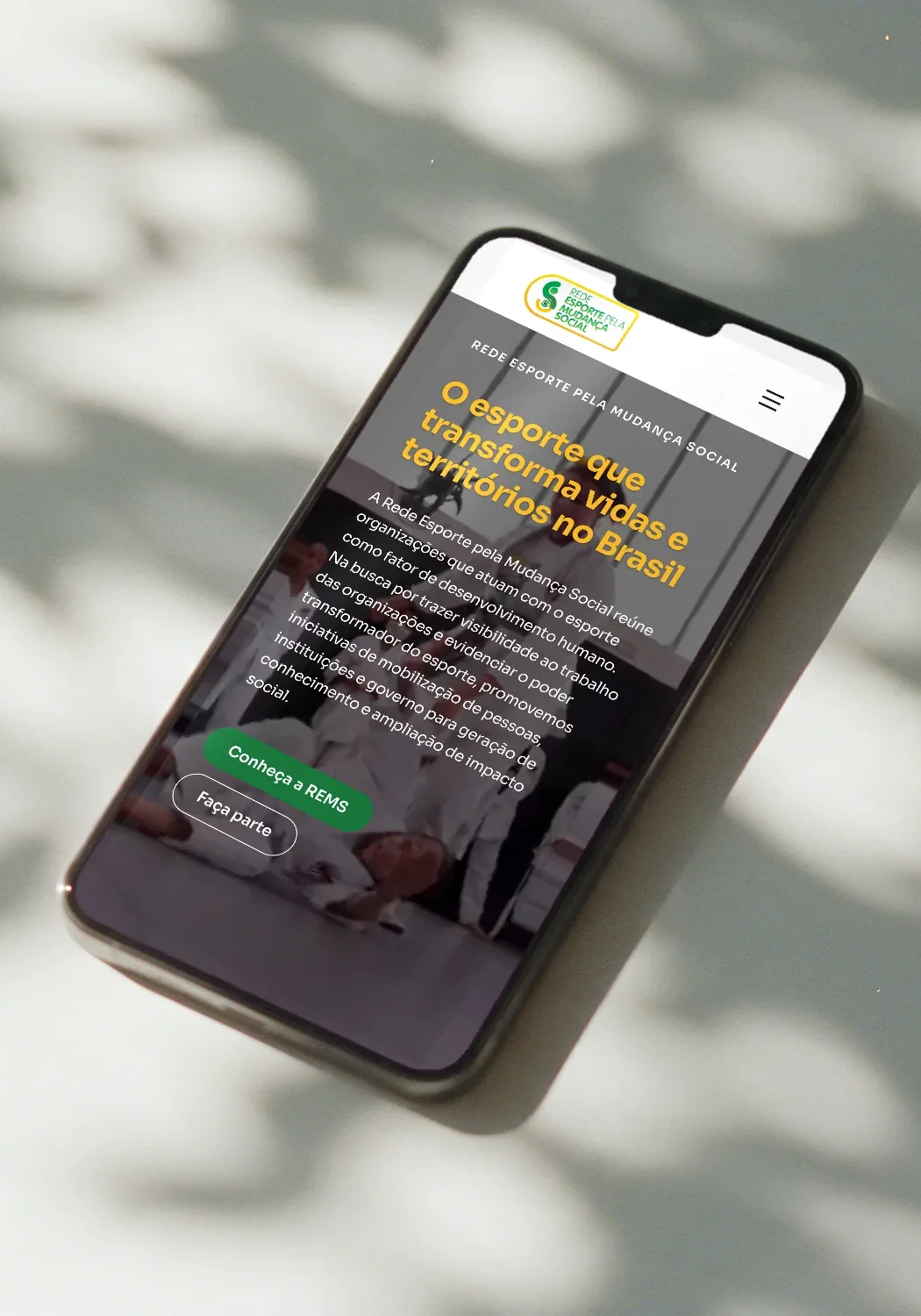 Site da REMS no celular