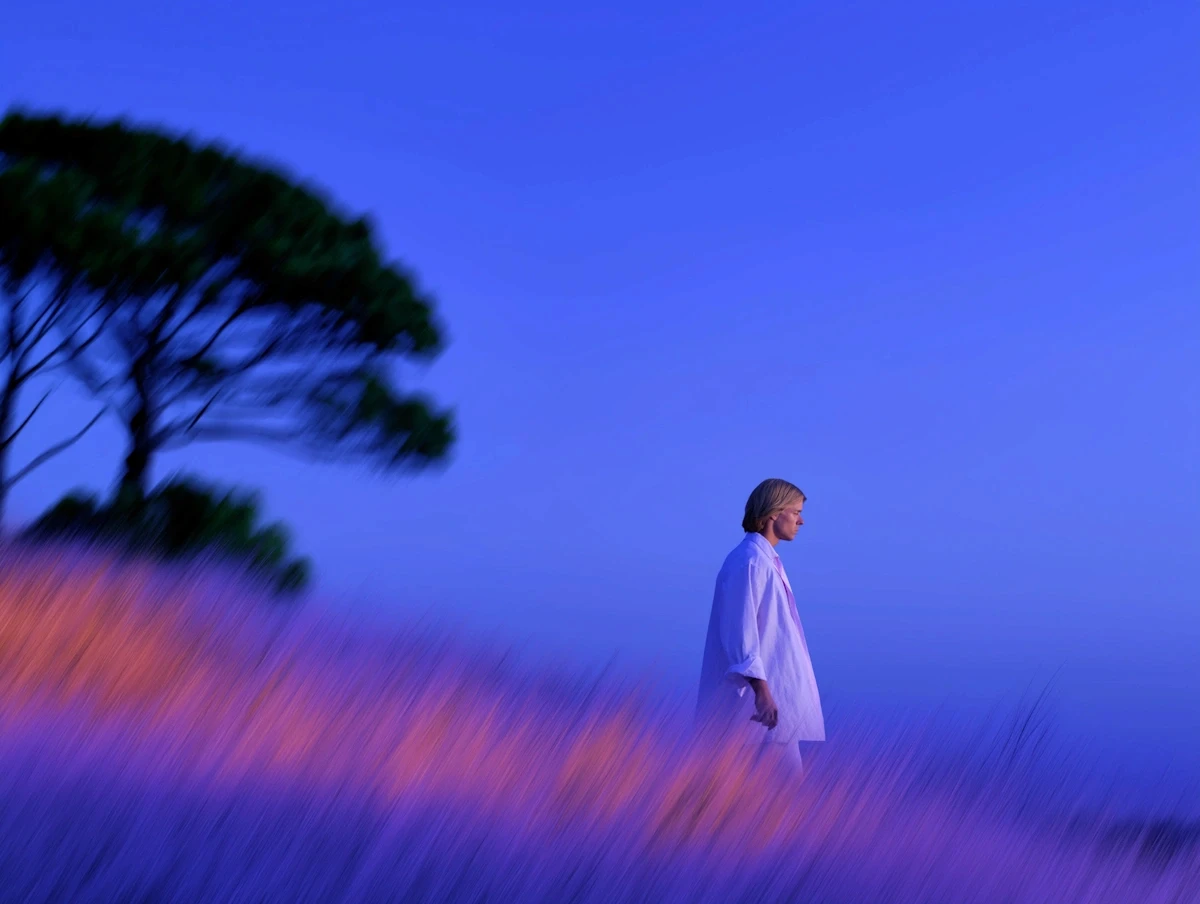 Tranquil Field Walk