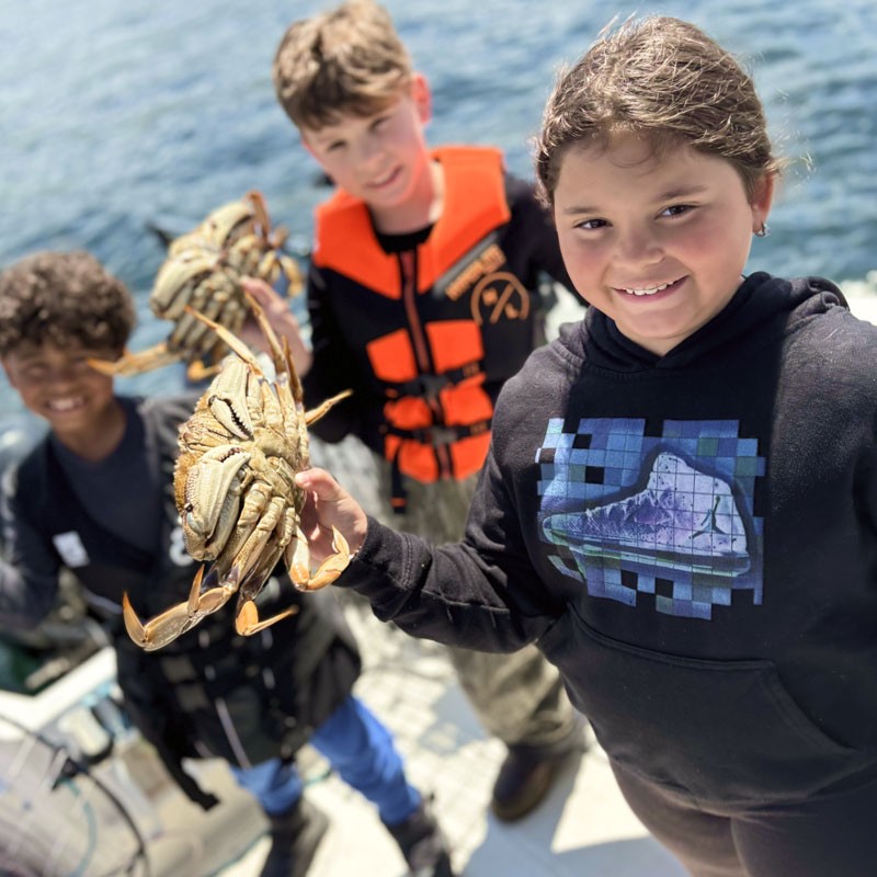 Kinds holding freshly caught dungeness crab
