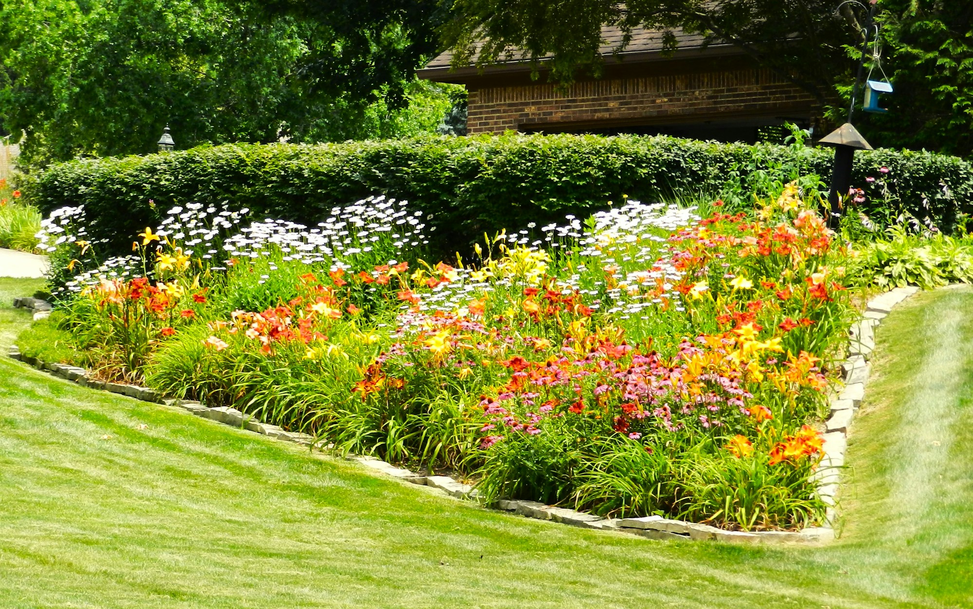 Vibrant flower garden with colorful blooms, green grass, and hedge — illustrative sample garden image.