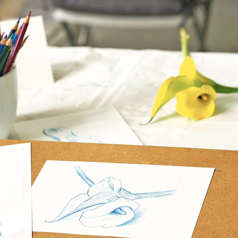 Foto von botanischer Zeichnung und Blume