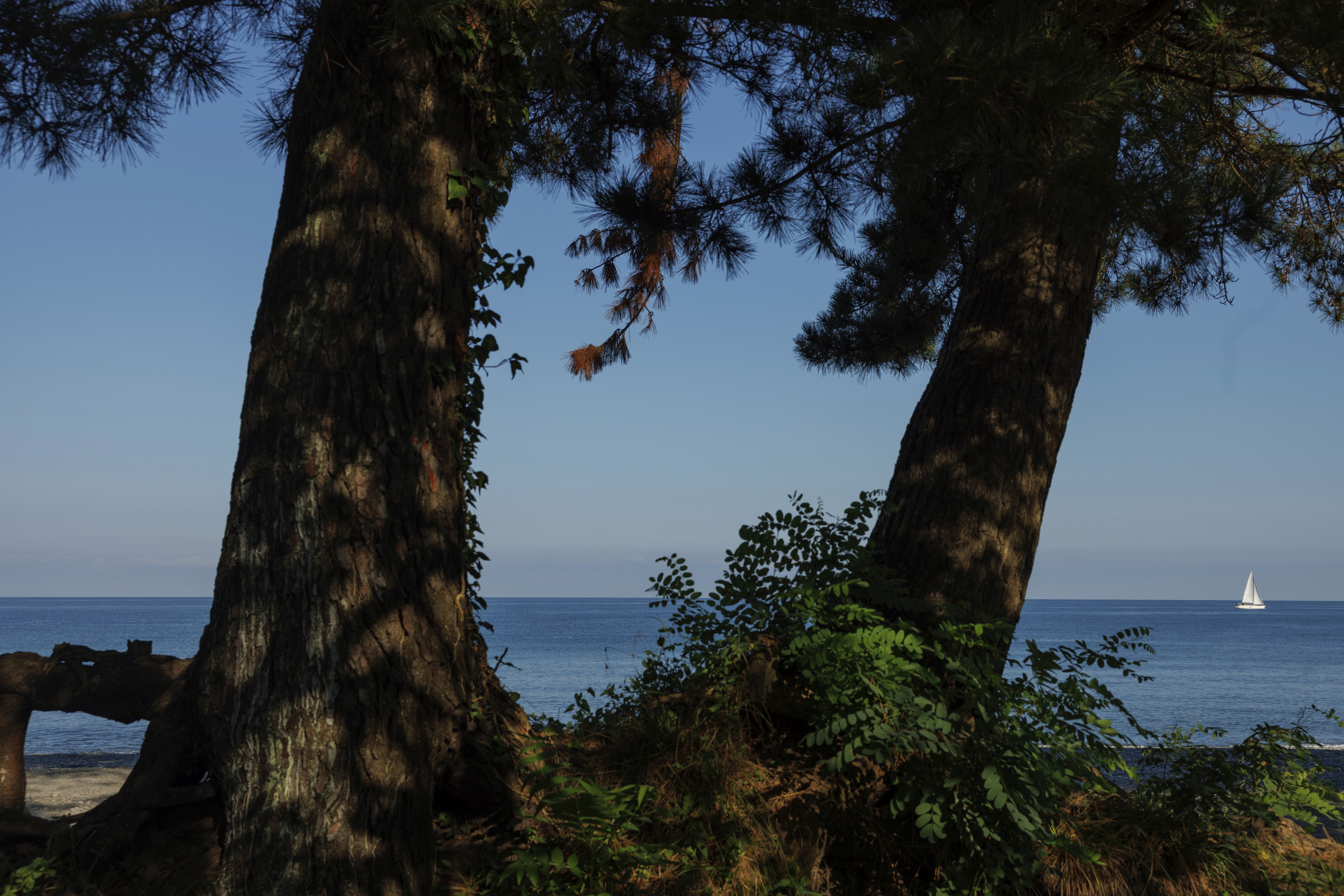 Buknari Building process