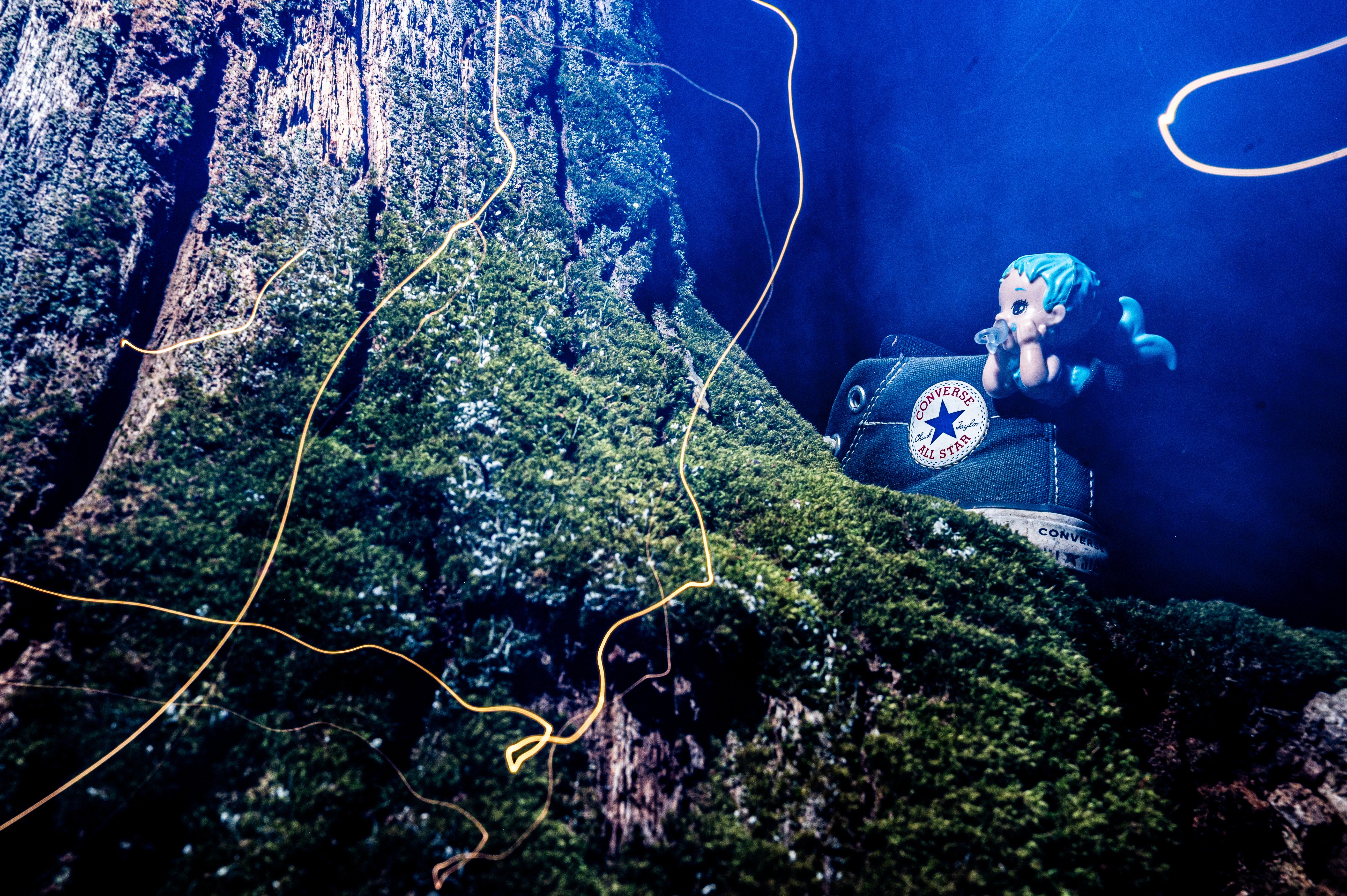 A DRUNK DRIVING MEMORIAL. SPRING 2025. COLLINSVILLE, CT. NIKON Z6.