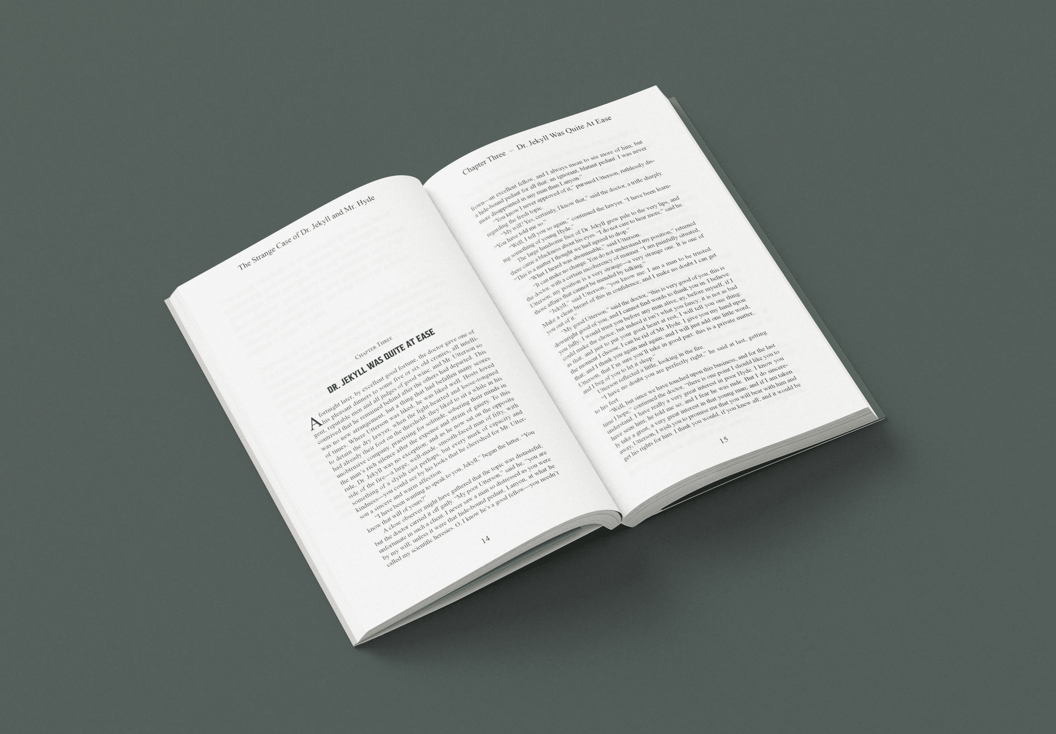 Book page spread mock up