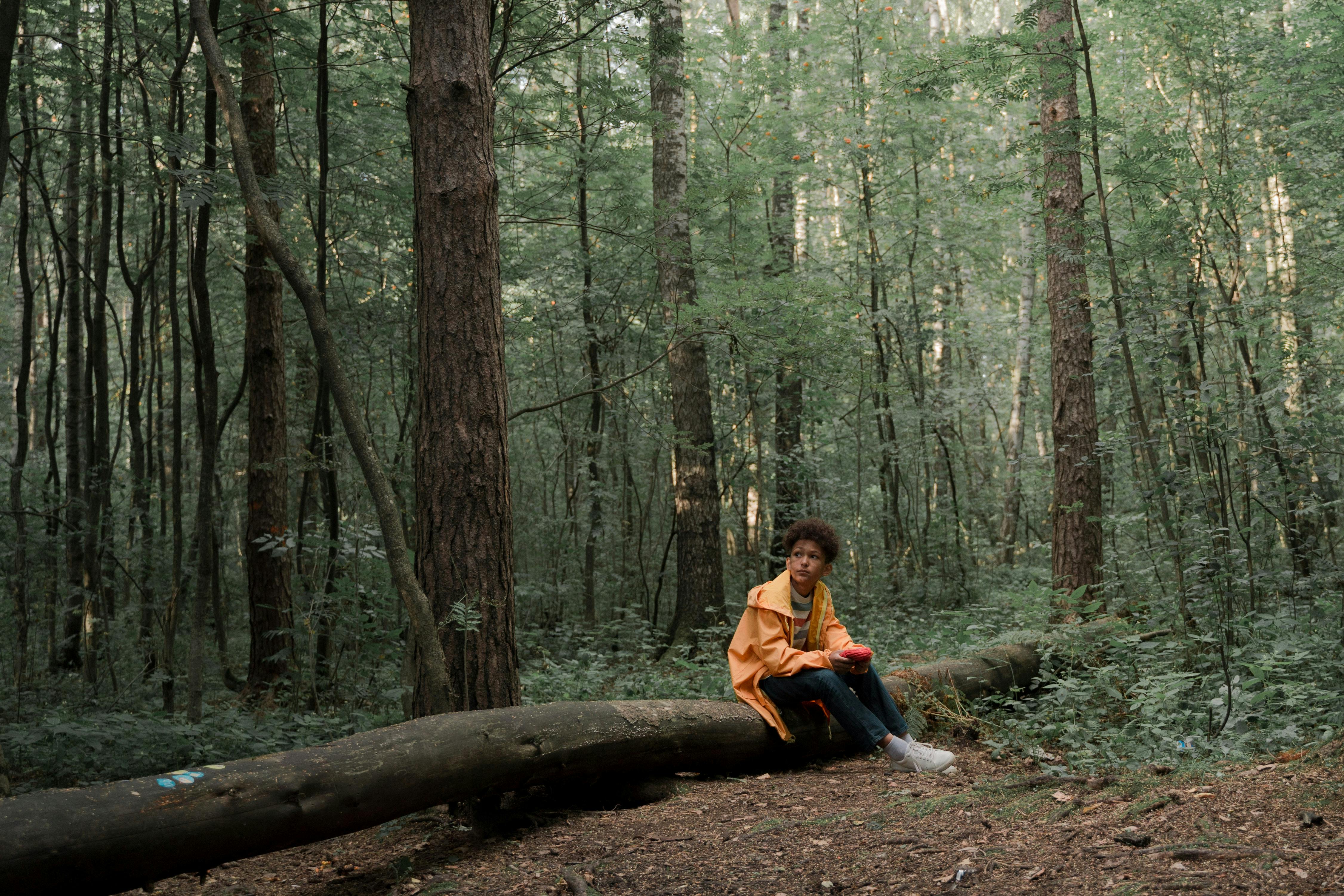 Person sitting in the forest