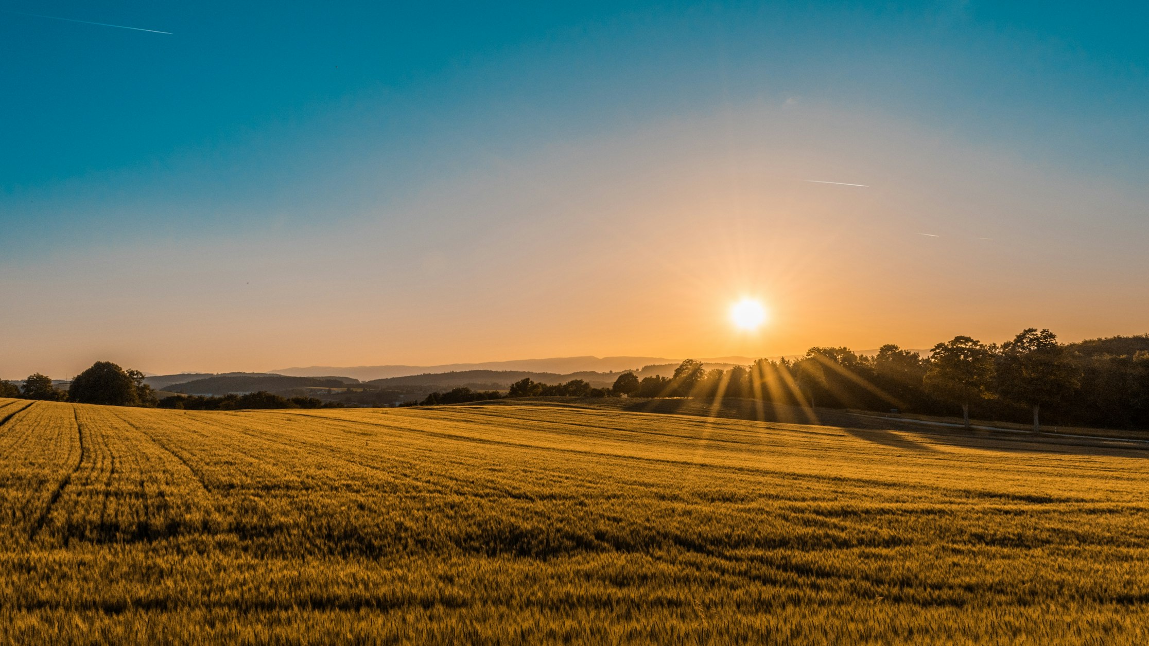 Eine weite Hügellandschaft bei Sonnenuntergang als Darstellung des Stiftungsbereichs Schutz von Natur und Tieren.