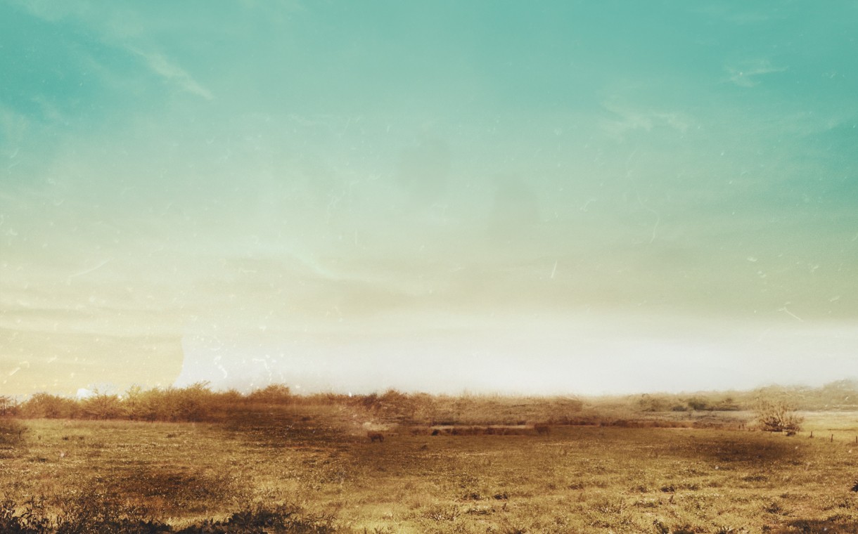 Bir Zamanlar Çukurova