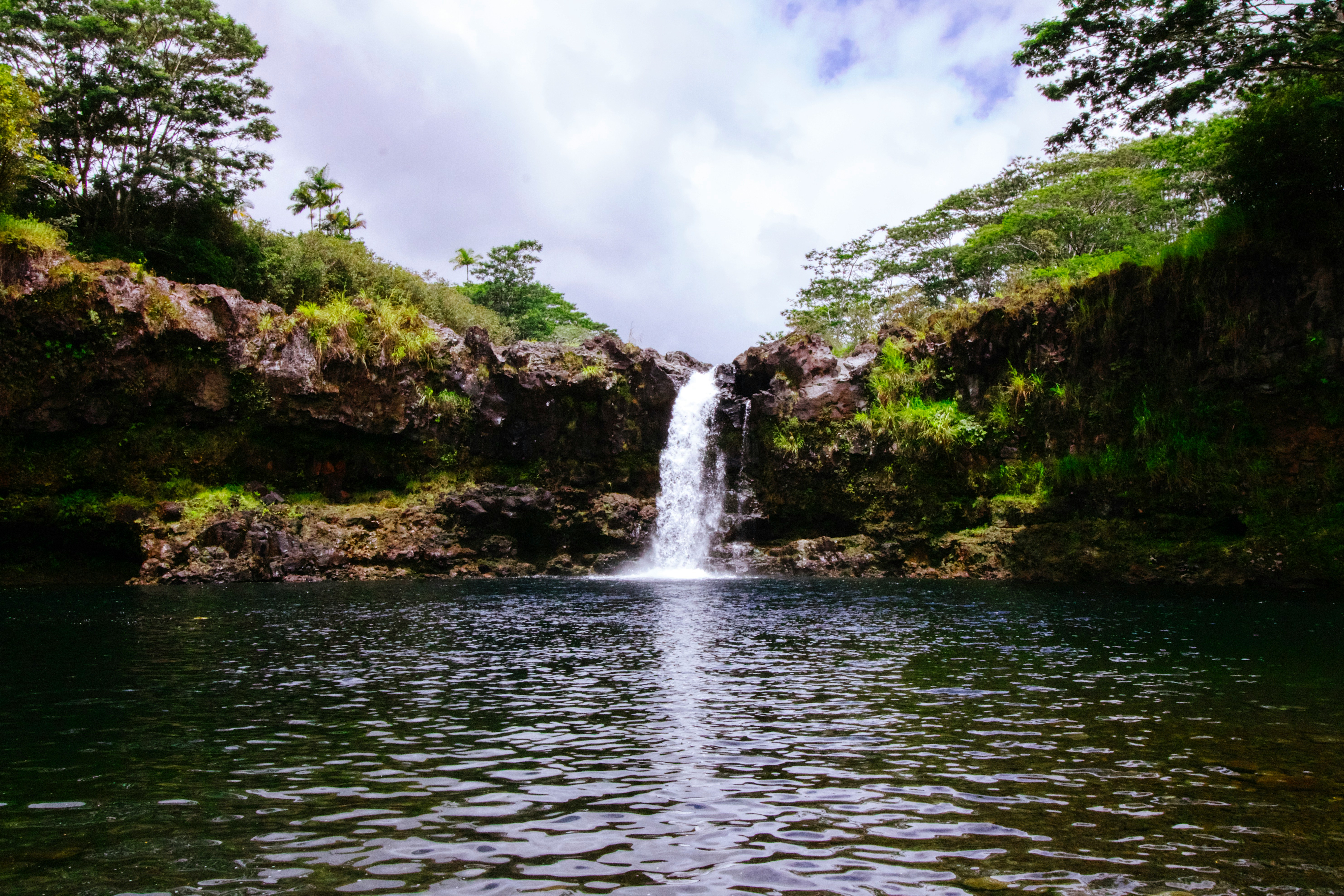 Waterfall cascading into a tranquil pool surrounded by lush foliage.