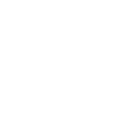 Ferro Chess logo