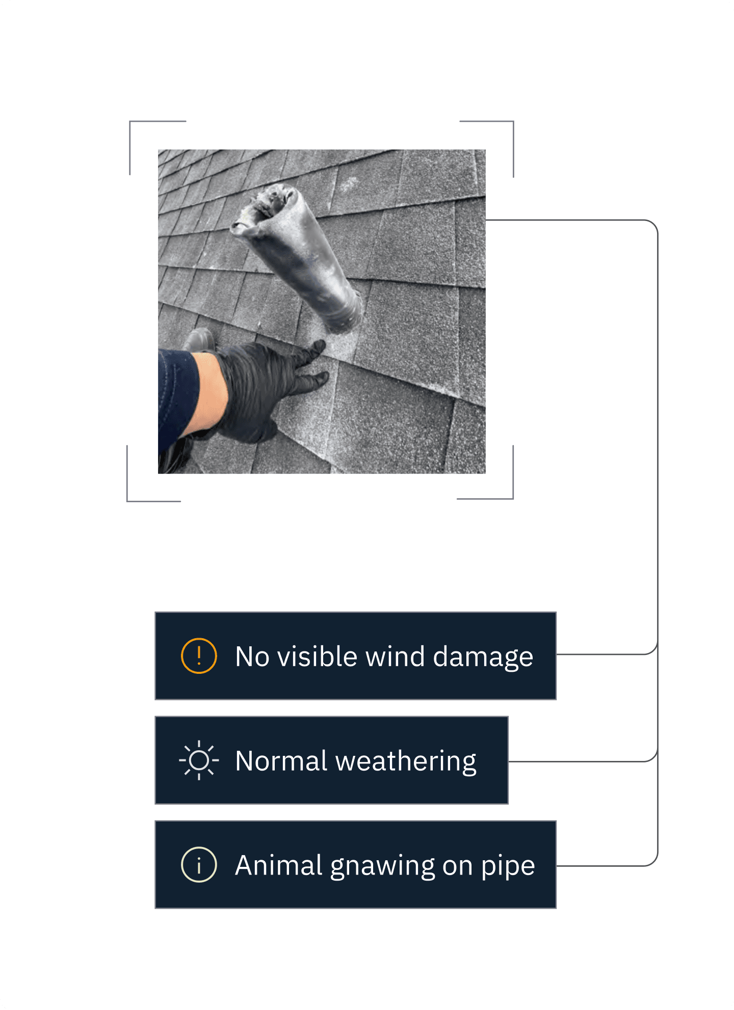 Roof vent pipe with signs of gnawing
