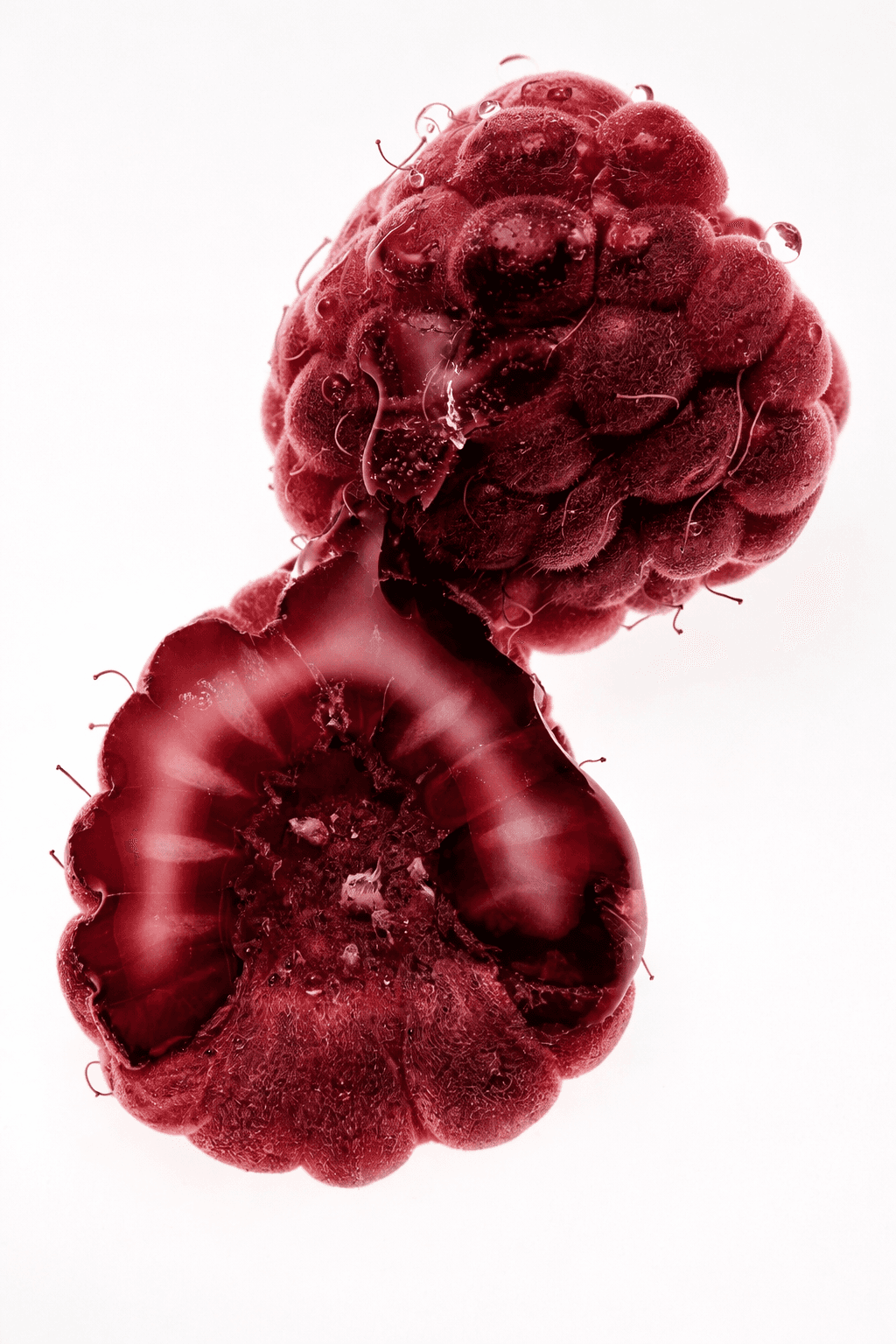 Free Framer template for creative studio and agency portfolio – high-end website design by OrbitX Supply