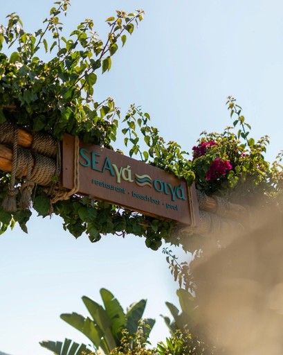 Focused Collaboration