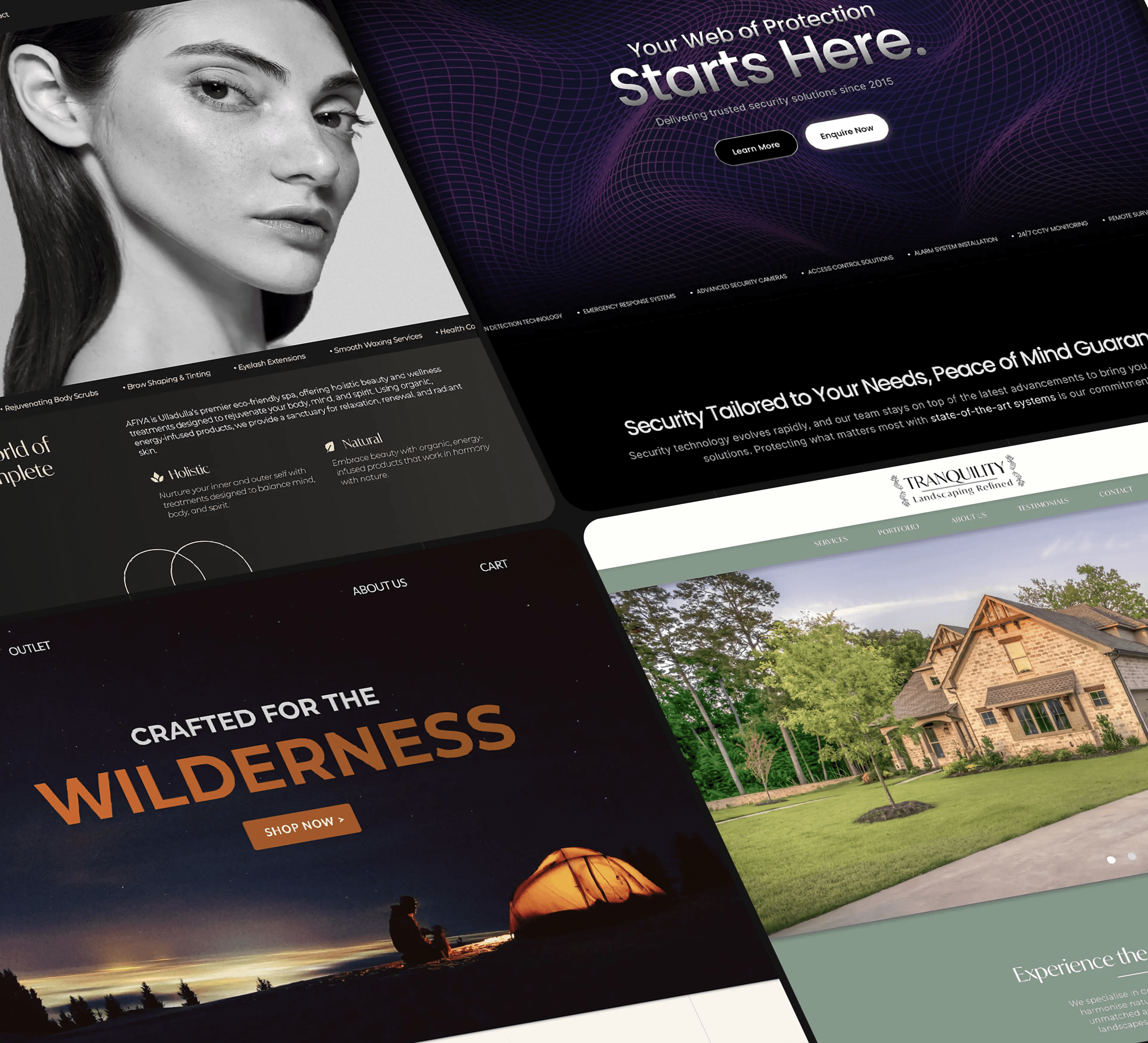 Background image of some Lumina portfolio websites